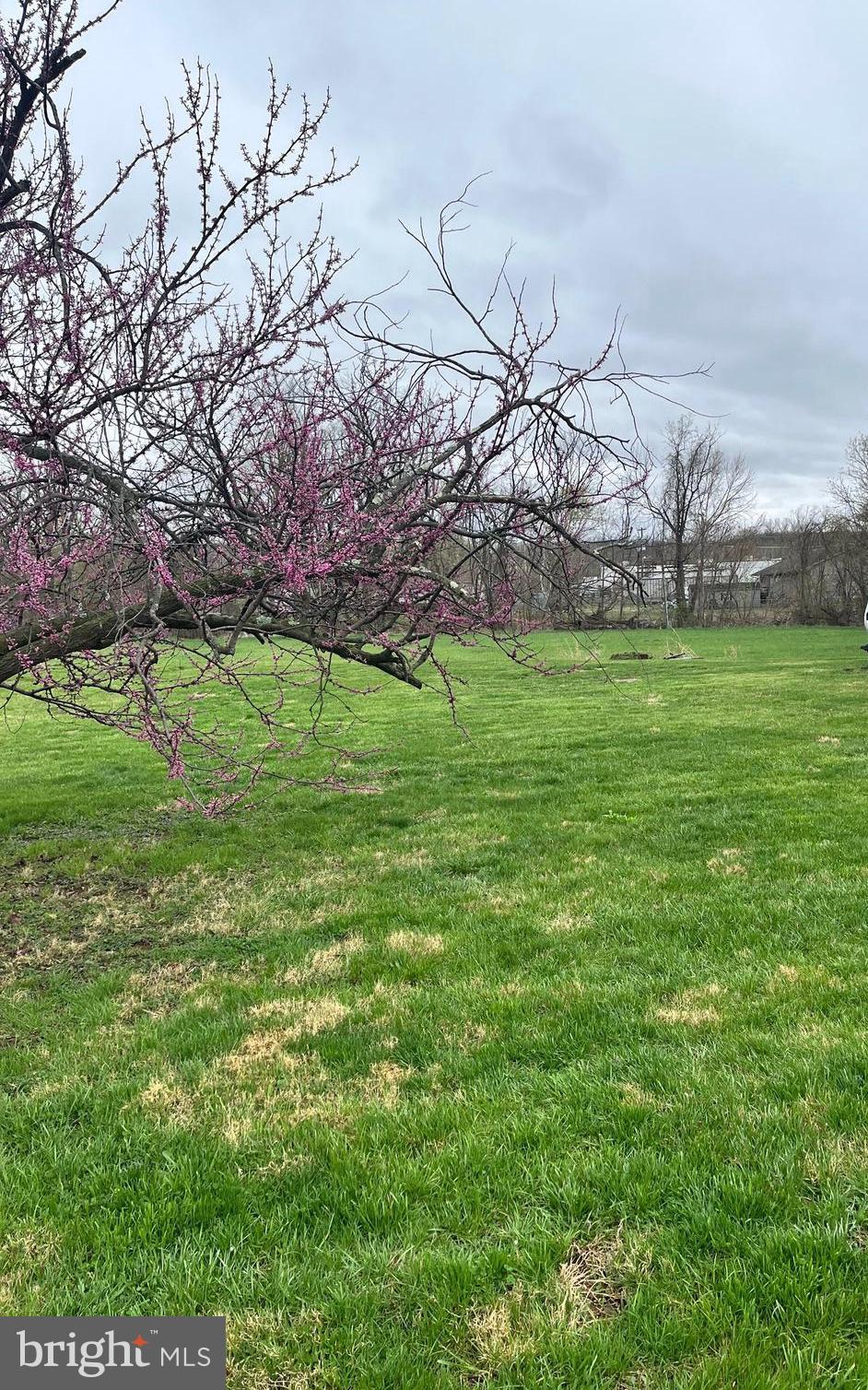 PETERSBURG - Residential