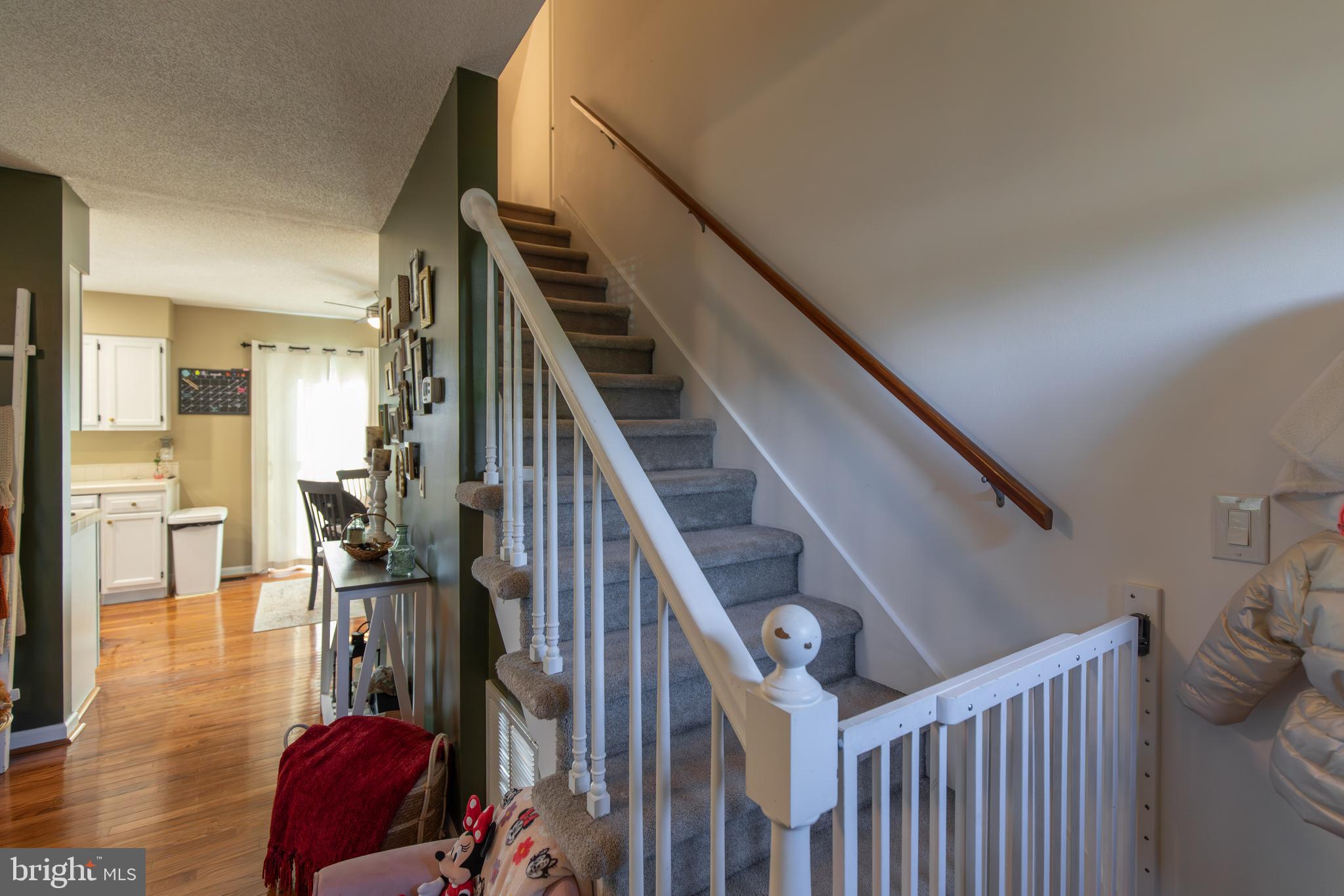 HUNTERS MILL - Residential