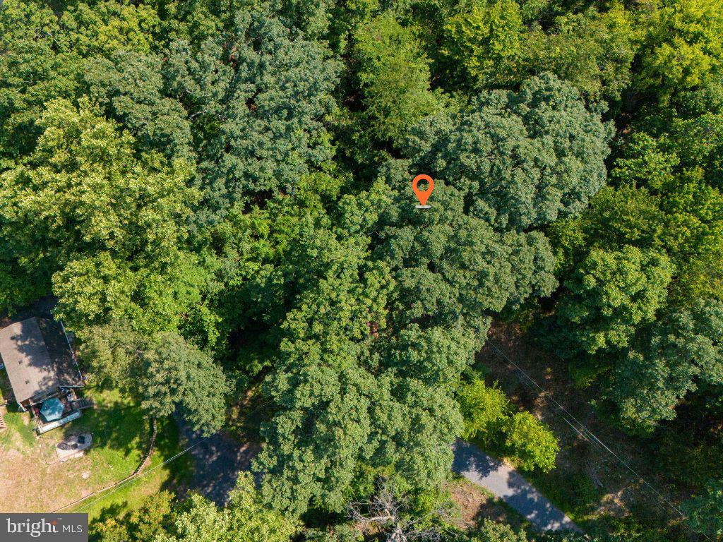 SHEN FARMS RIDGE - Land