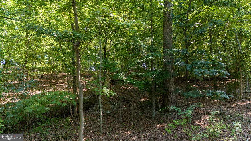 This lot is located on a cul-de-sac road, approximately one mile from Howellsville Rd, only about a half-mile off of the hard surface road.    Shenandoah Farms is a Sanitary District.  Shenandoah Farms residents have access to the river via the boat landing and river access points.  Residents enjoy picnic areas, bike trails, and other recreational areas.