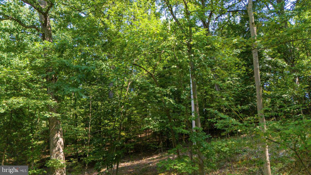 SHEN FARMS RIDGE - Land