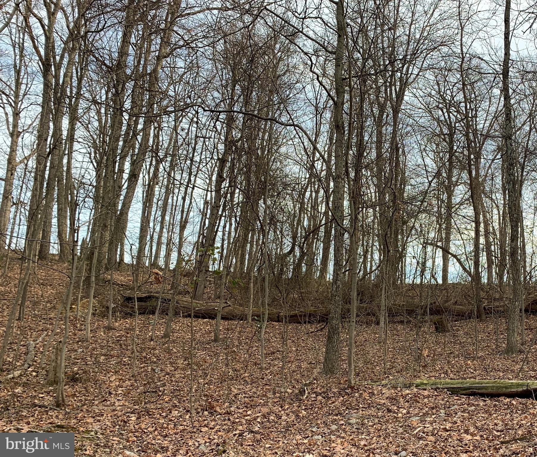 SHEN FARMS RIDGE - Land