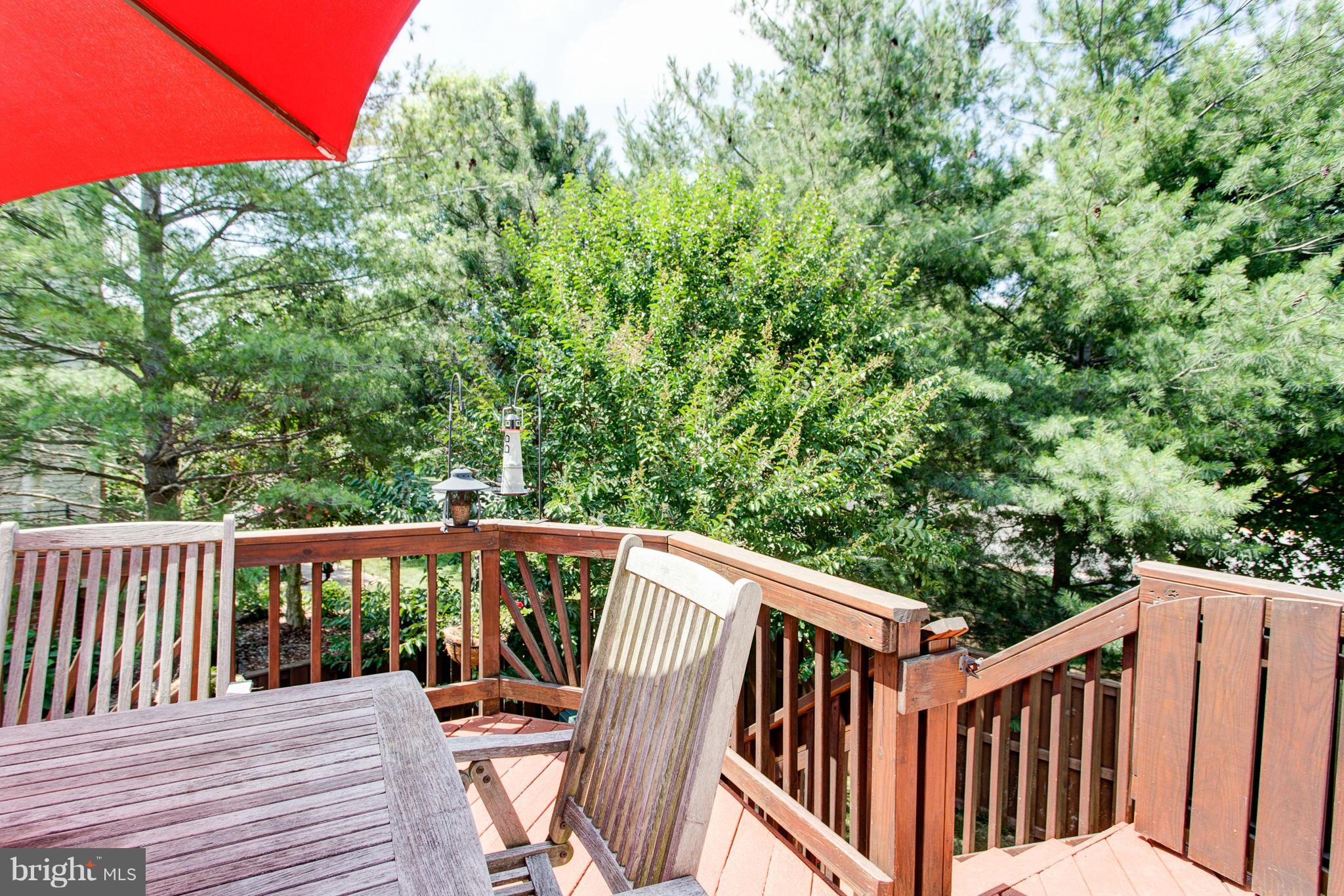 ISLAND CREEK - Residential Lease