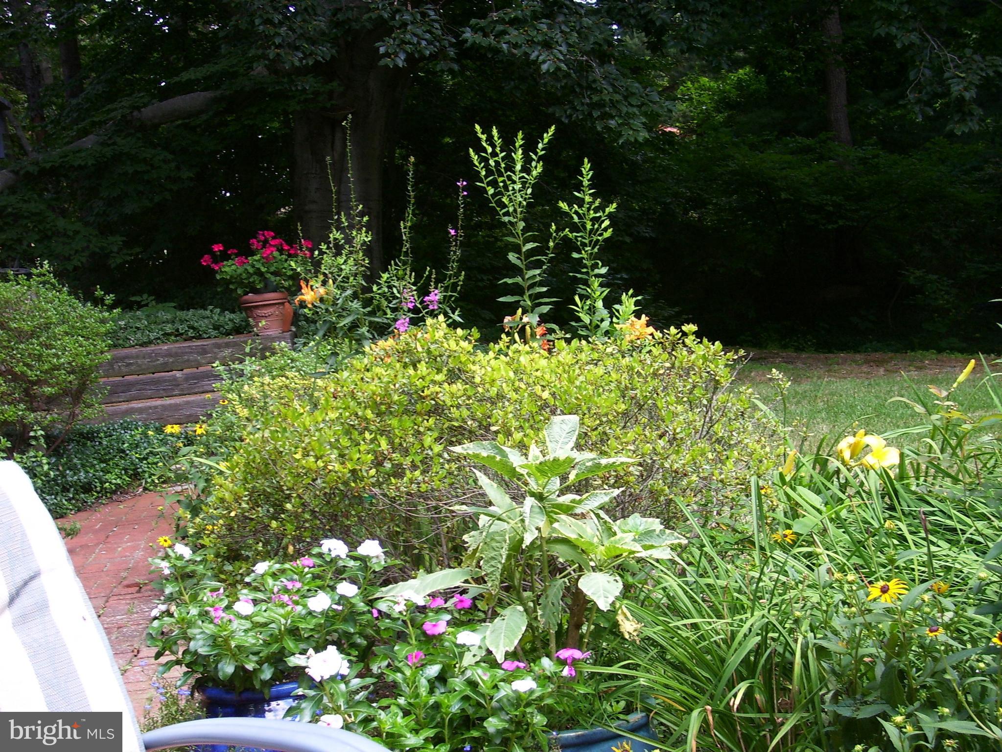 TWIN BROOK ESTATES - Residential