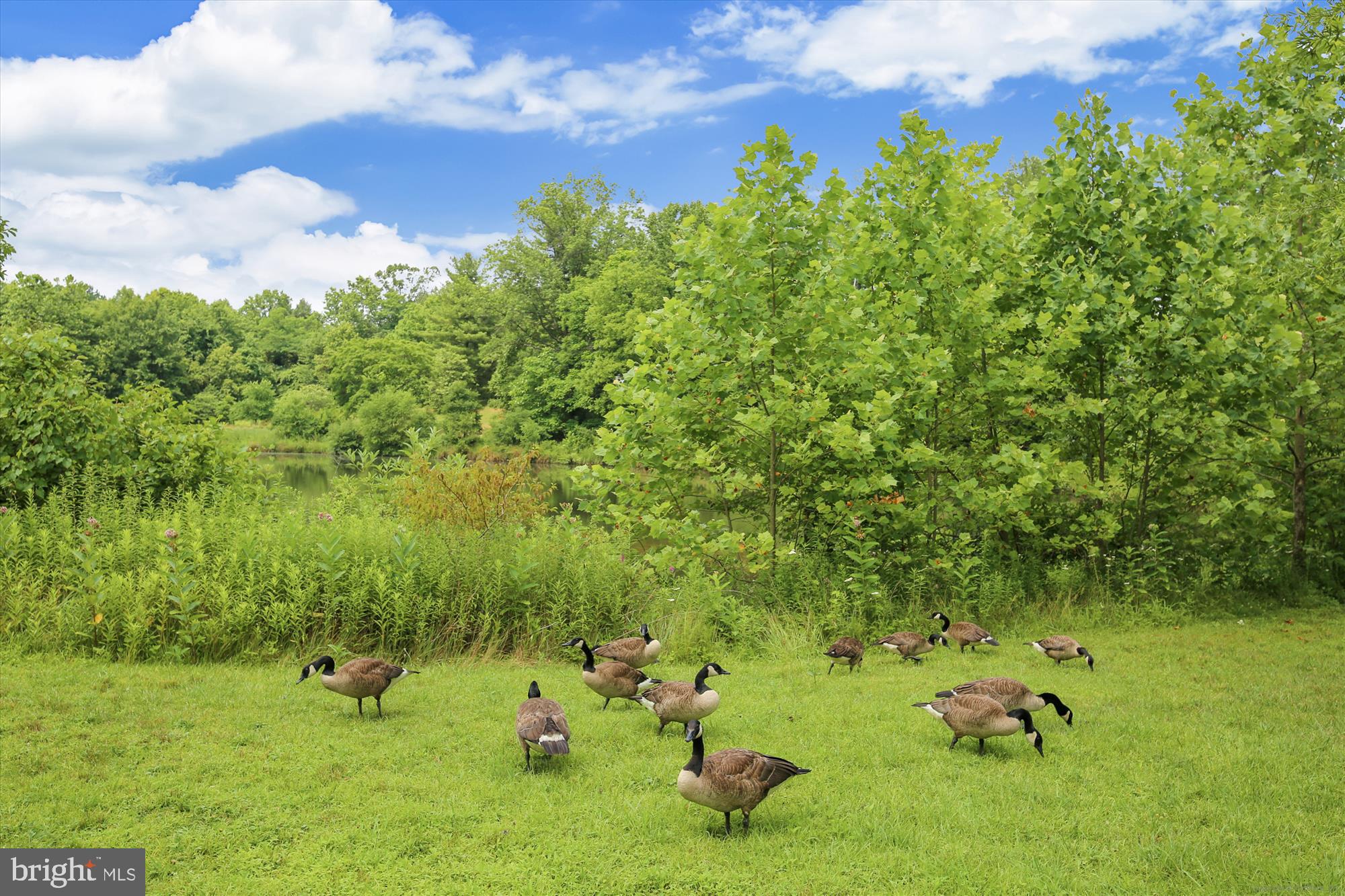 COUNTRYSIDE - Residential
