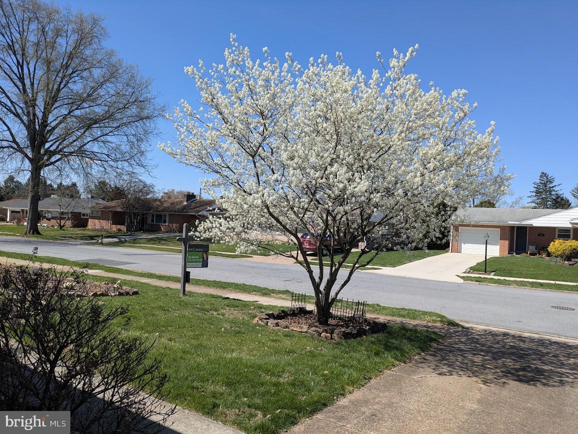 CEDAR CLIFF MANOR - Residential