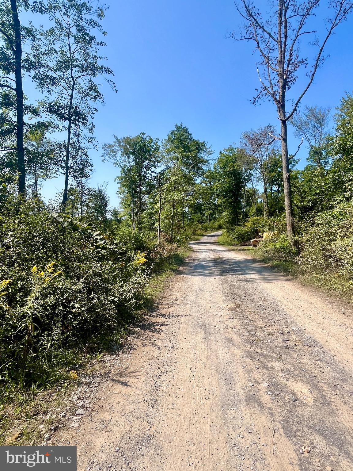 2600 BEECH CREEK MOUNTAIN ROAD