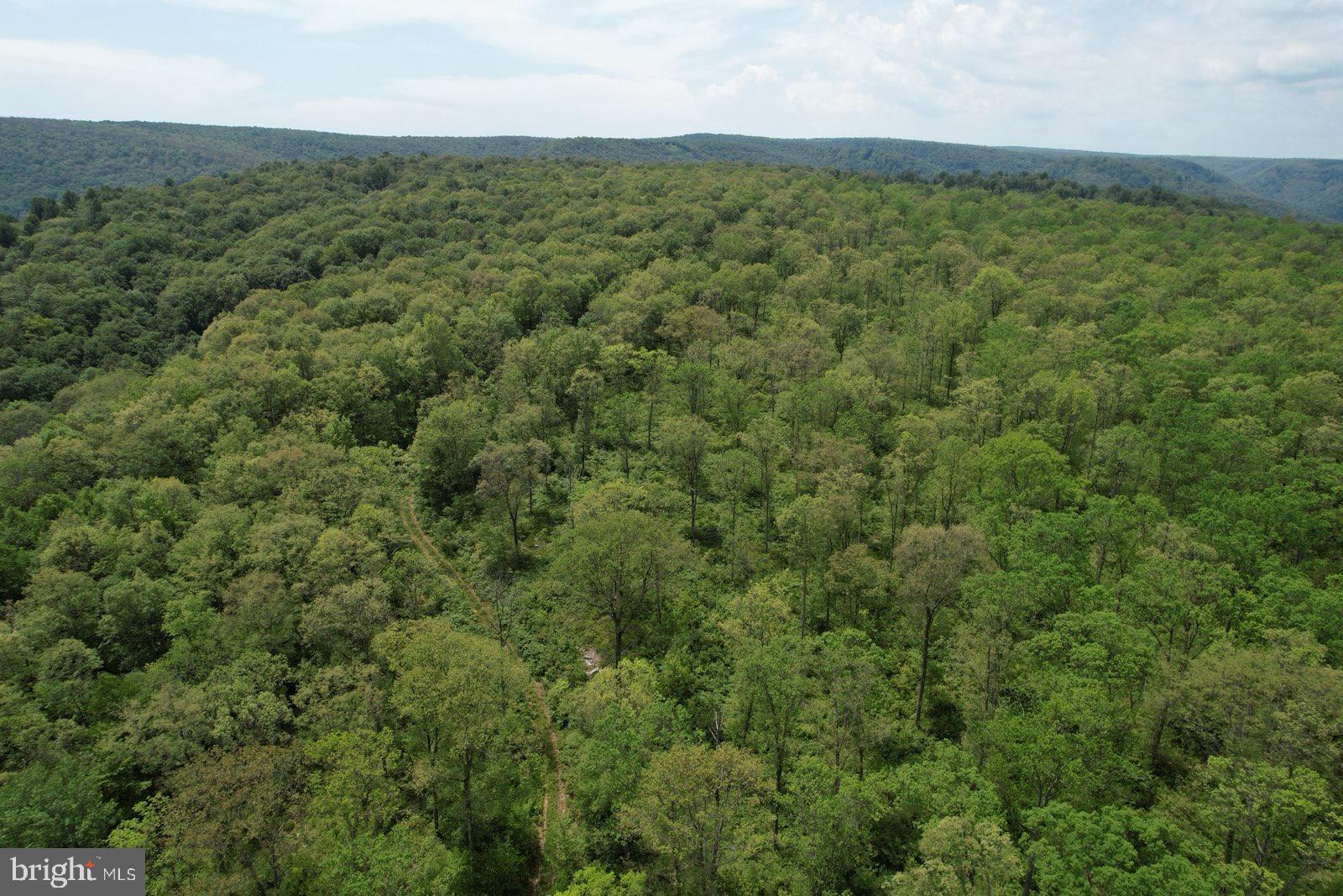2600 BEECH CREEK MOUNTAIN ROAD