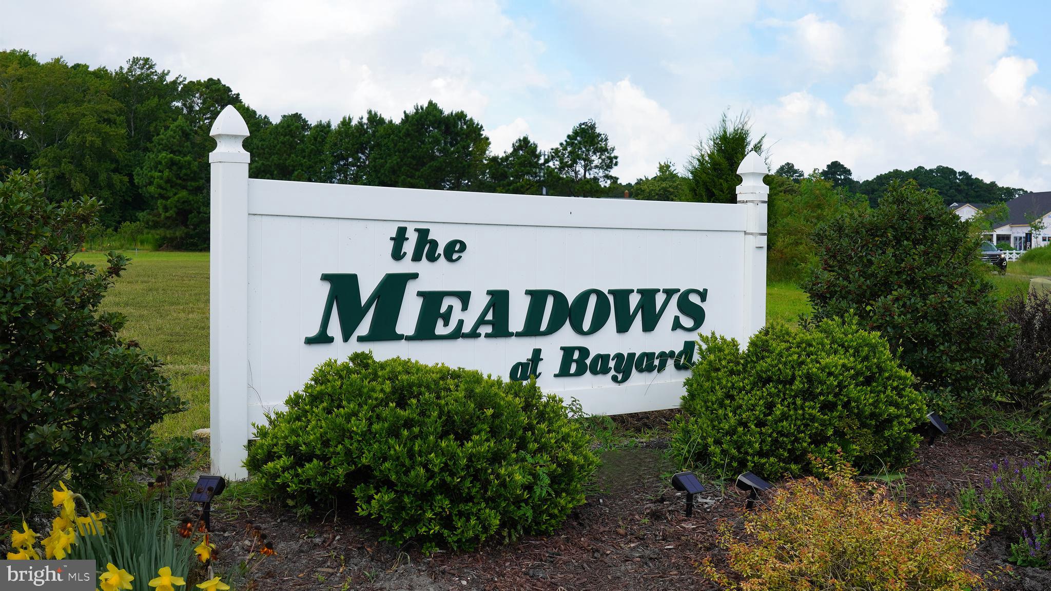 MEADOWS AT BAYARD - Residential