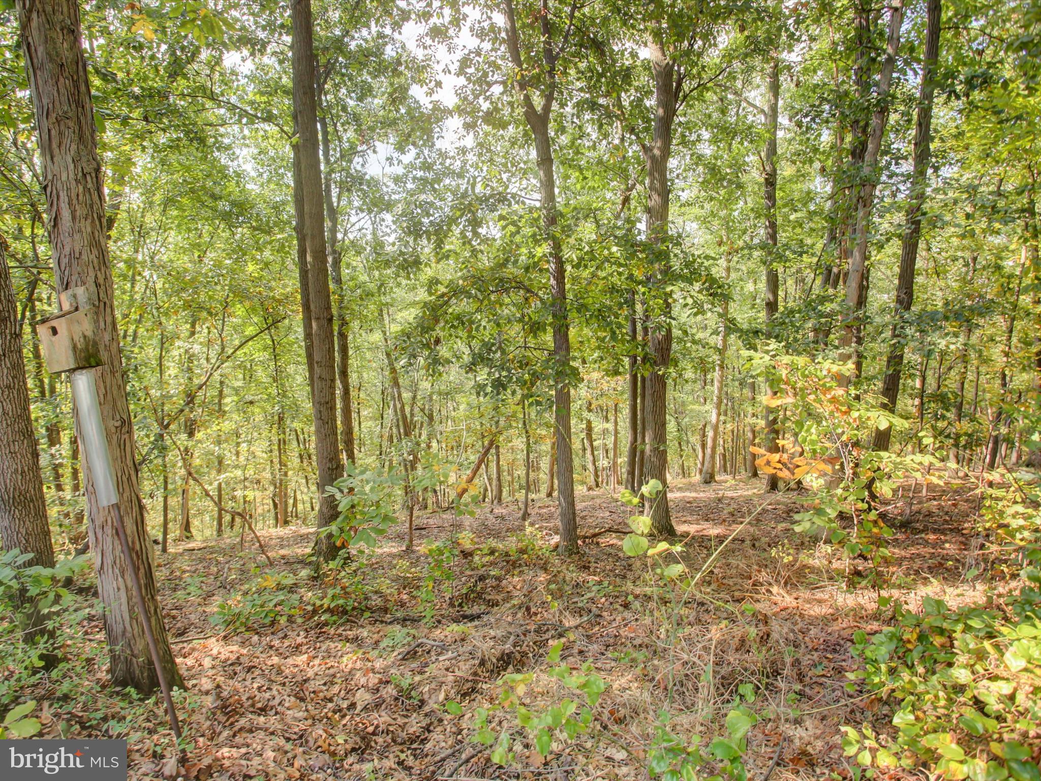 GREENCASTLE GREENS - Residential