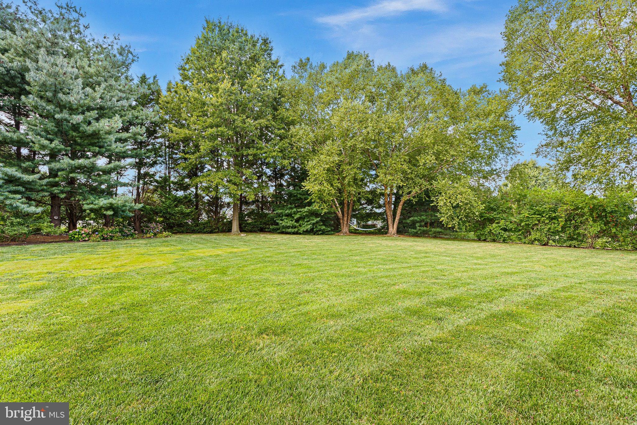 55 MEADOW DRIVE