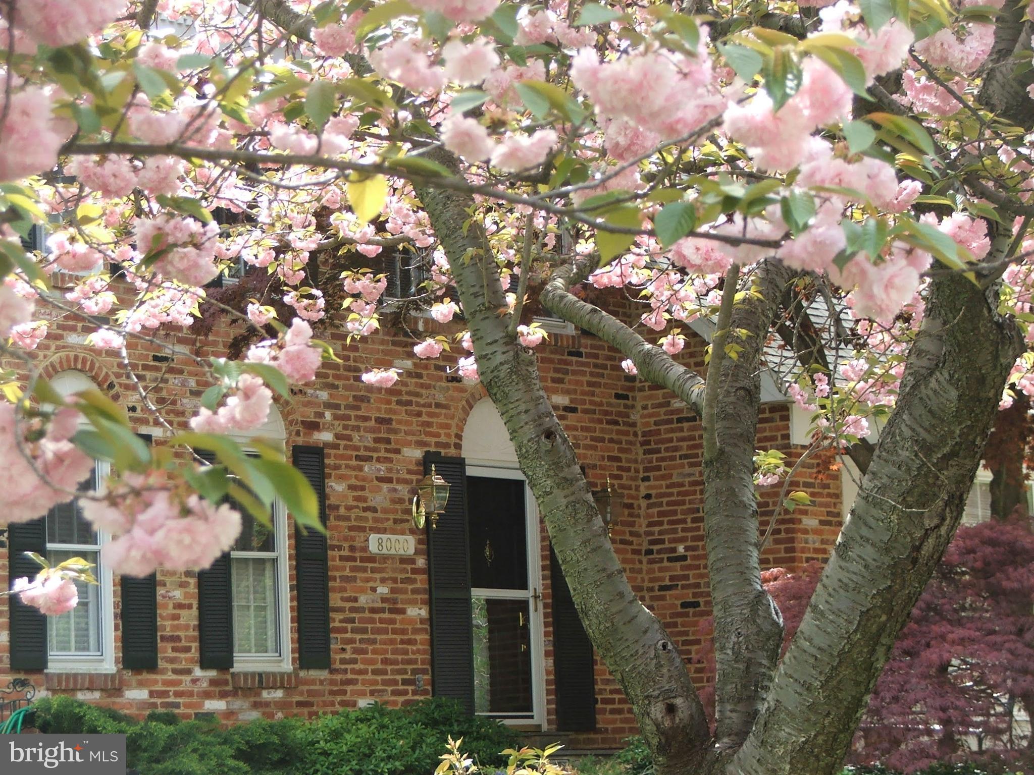 INVERNESS FOREST - Residential
