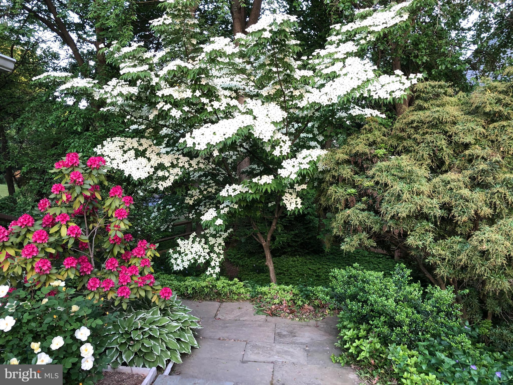INVERNESS FOREST - Residential