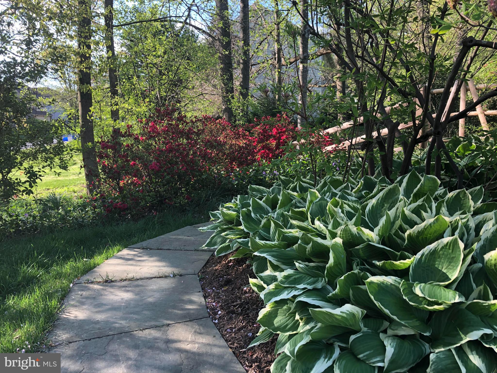 INVERNESS FOREST - Residential