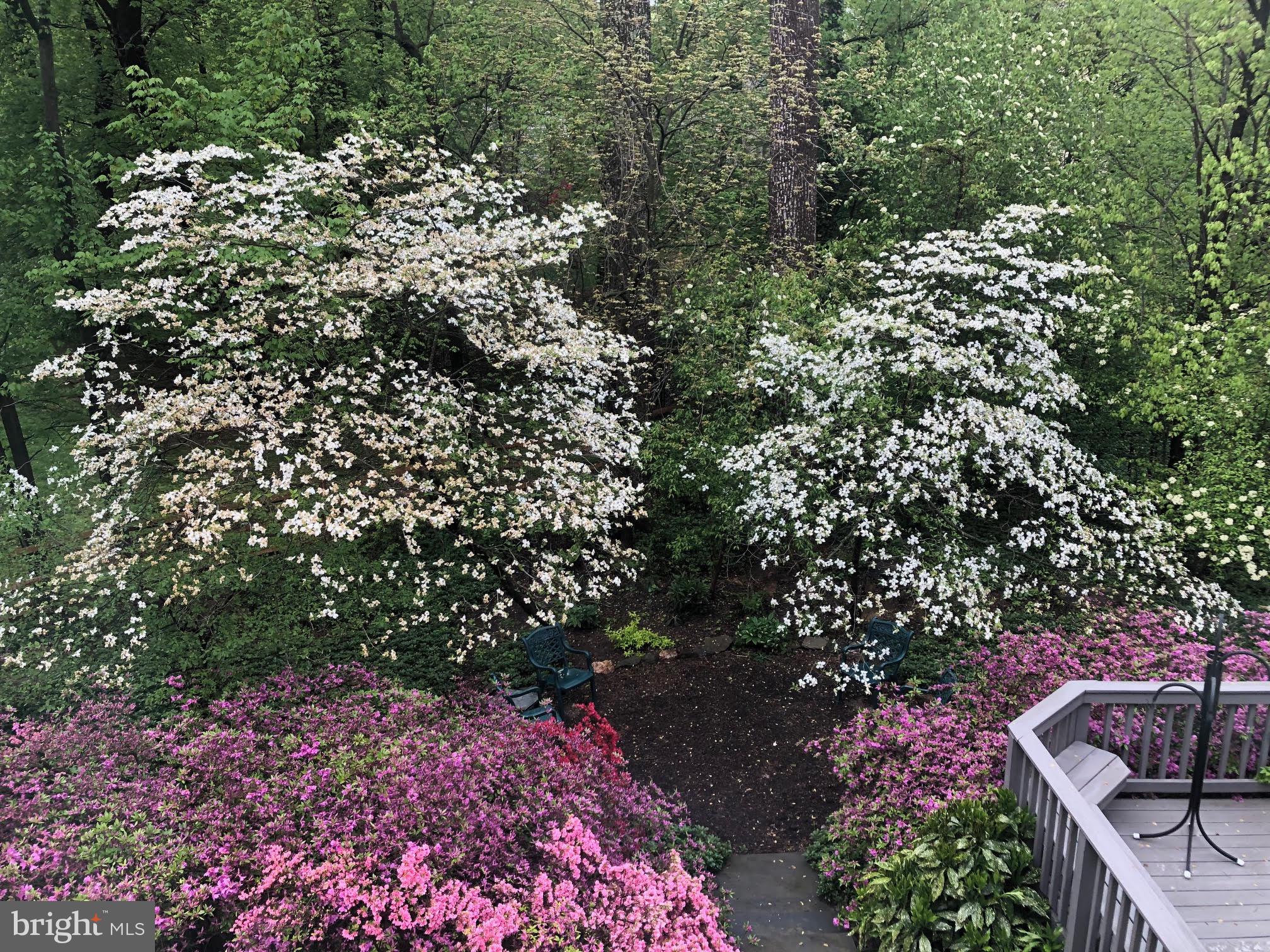 INVERNESS FOREST - Residential