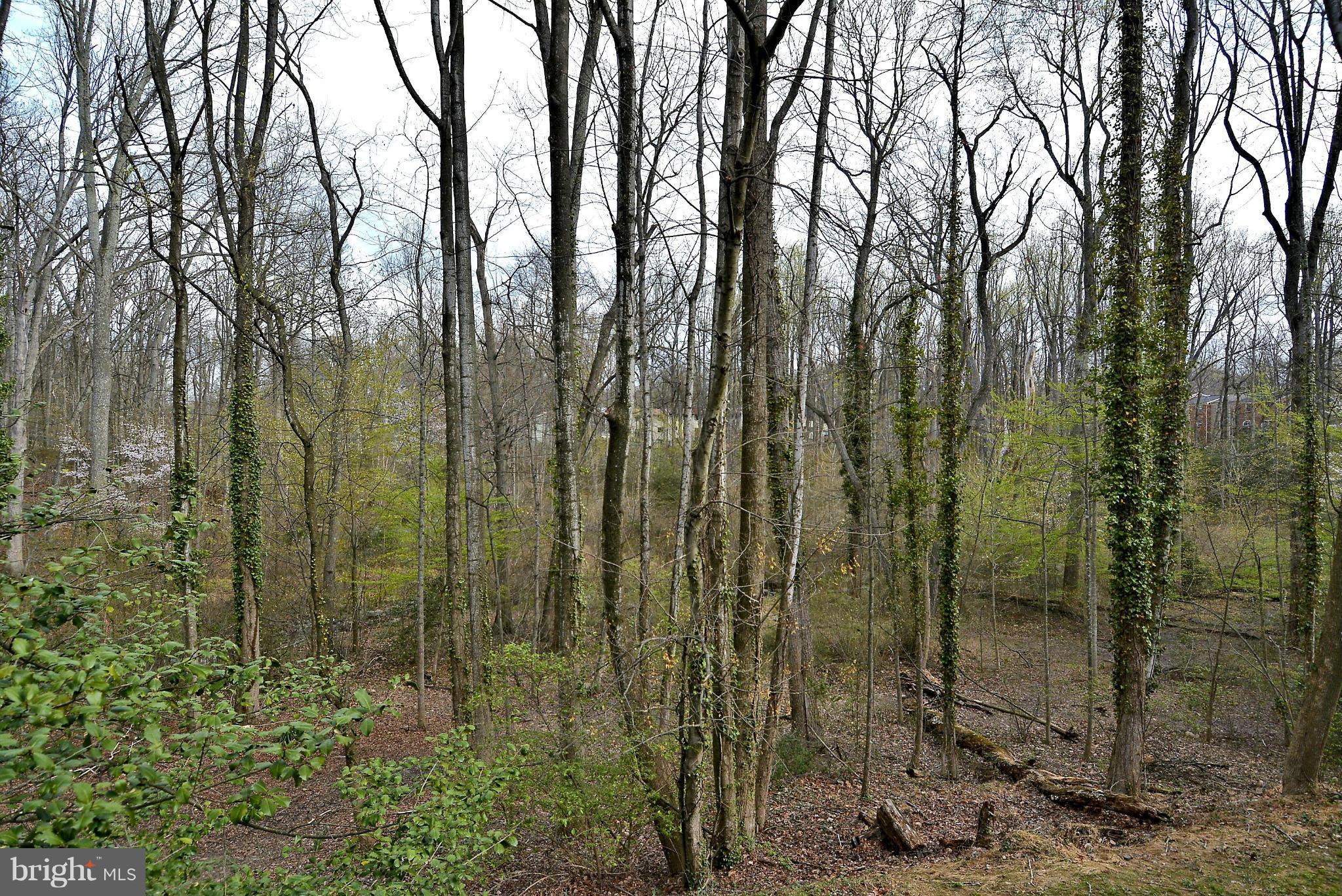 DEEPWOOD - Residential