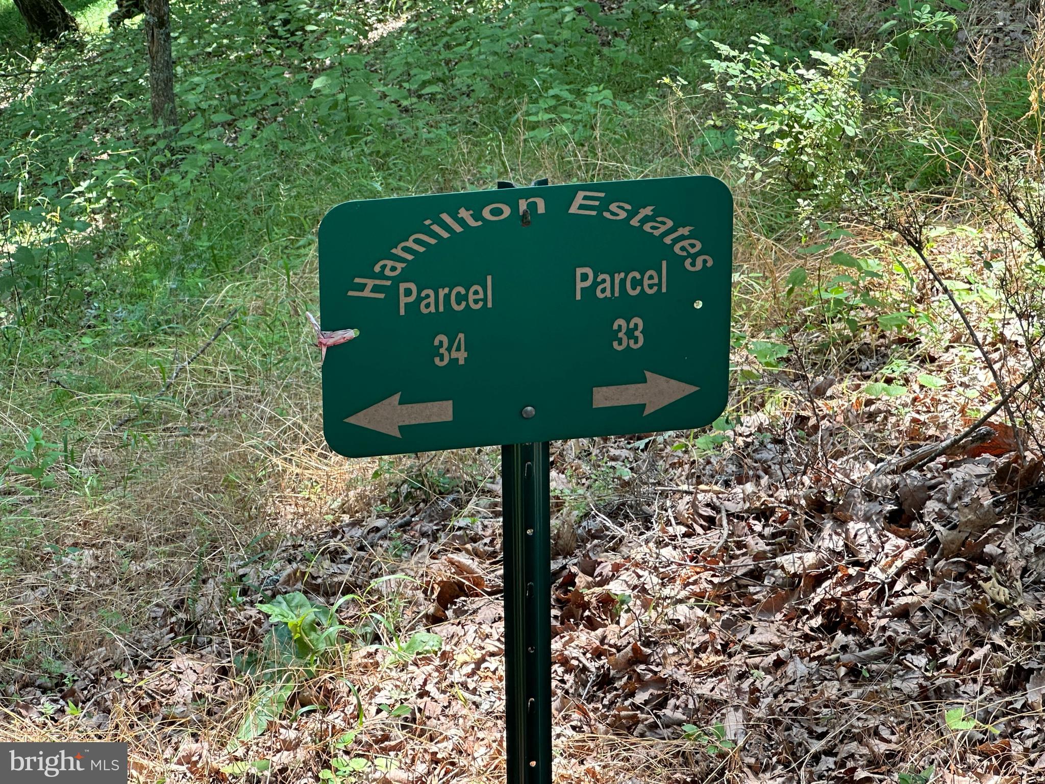 HAMILTON ESTATES - Land