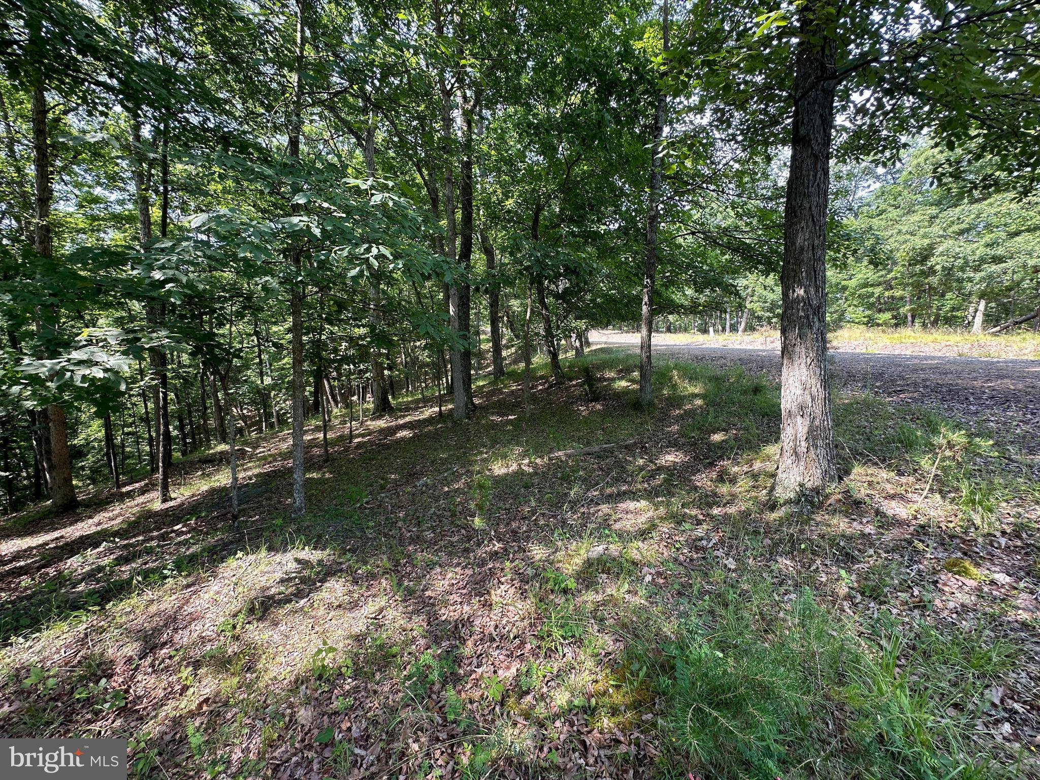 HAMILTON ESTATES - Land