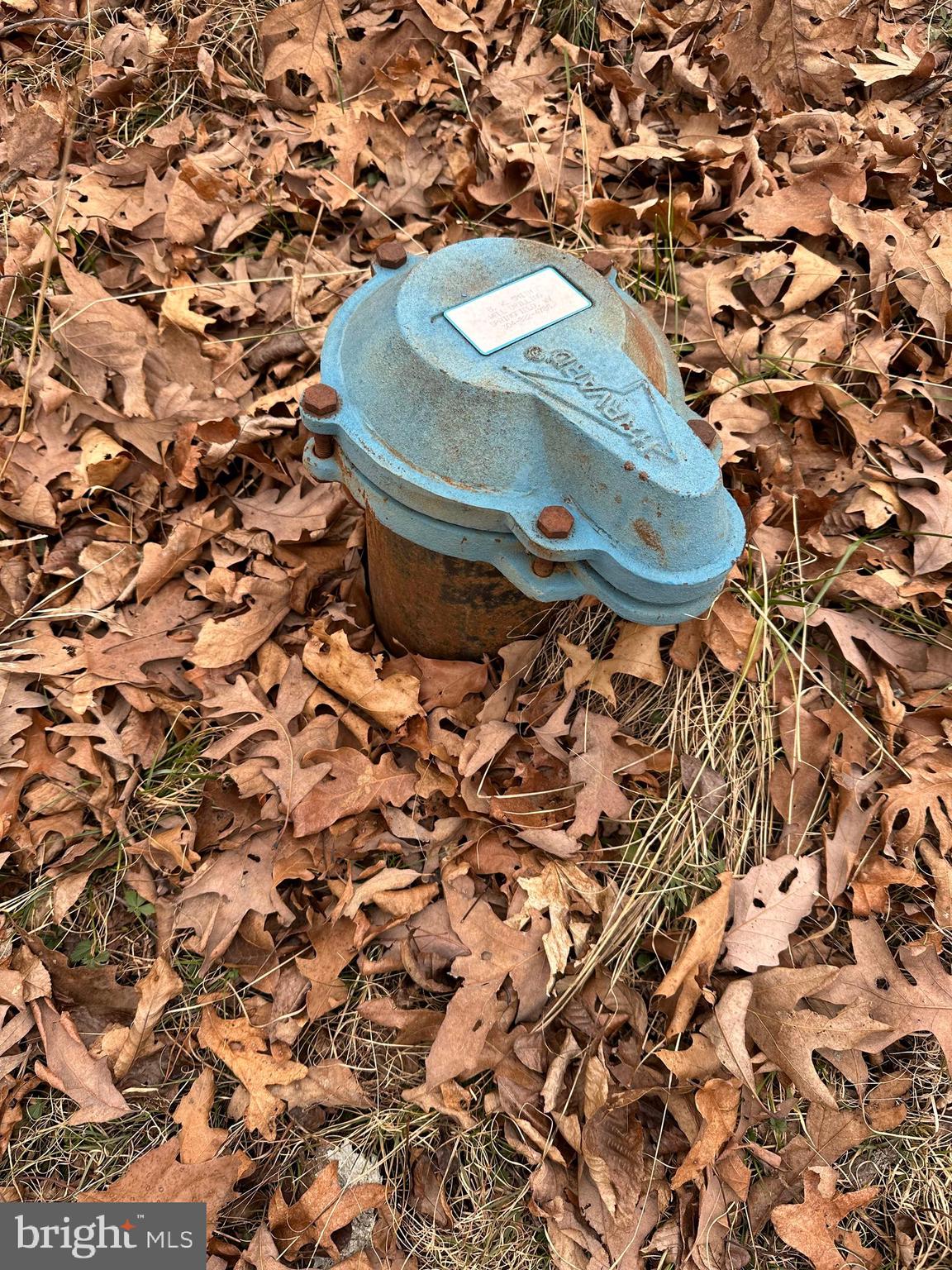 HAMILTON ESTATES - Land