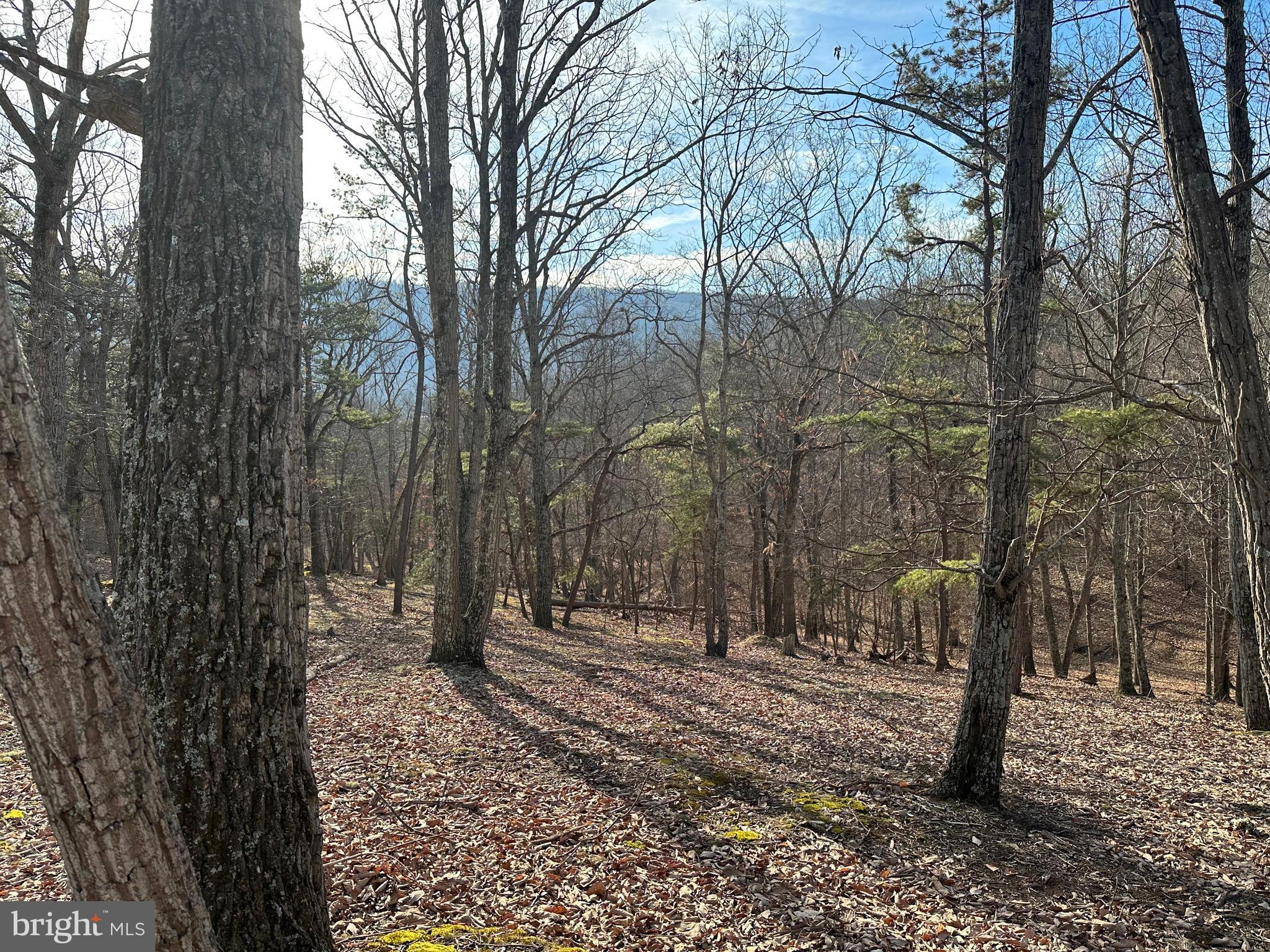 HAMILTON ESTATES - Land