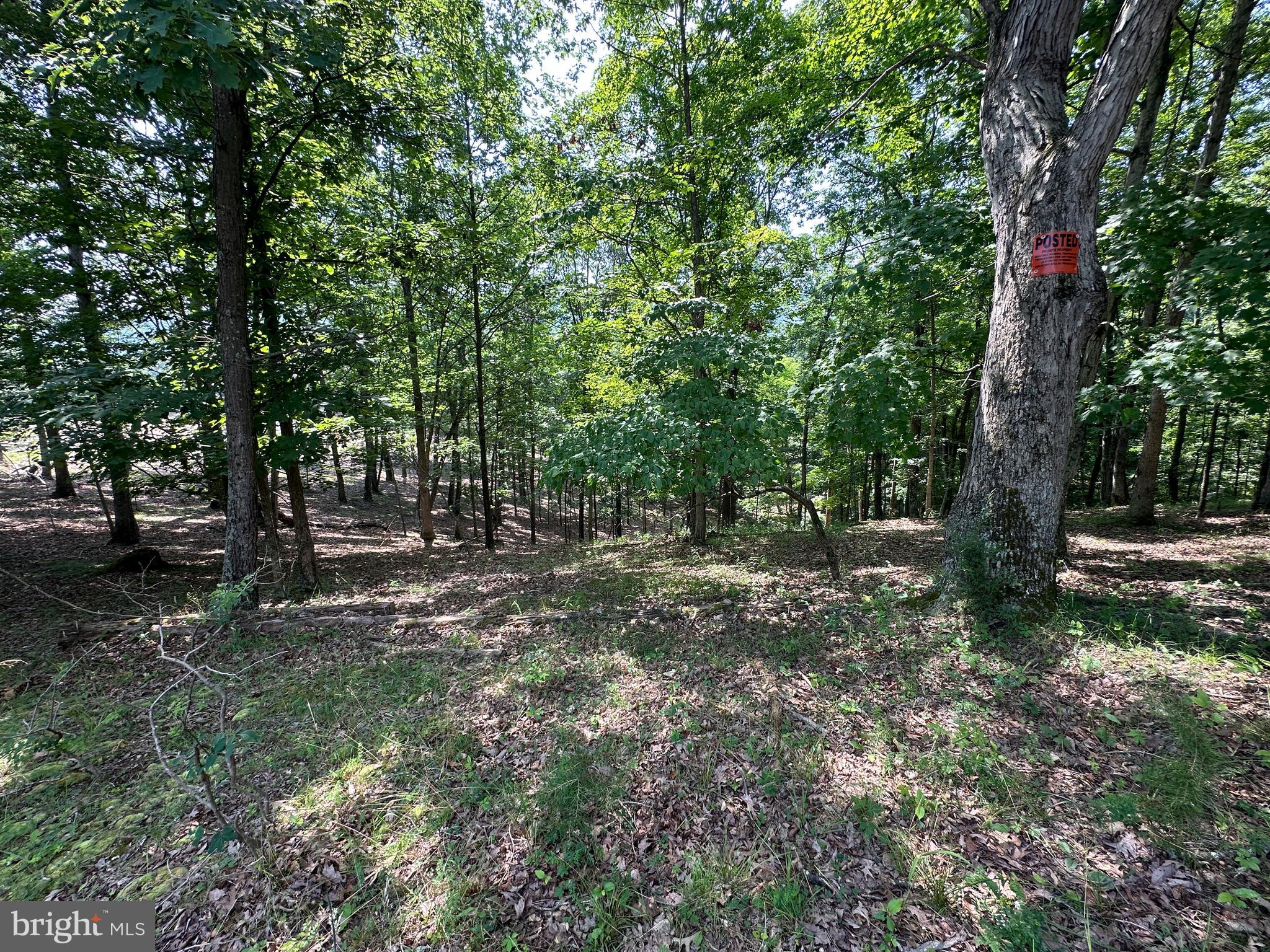 HAMILTON ESTATES - Land