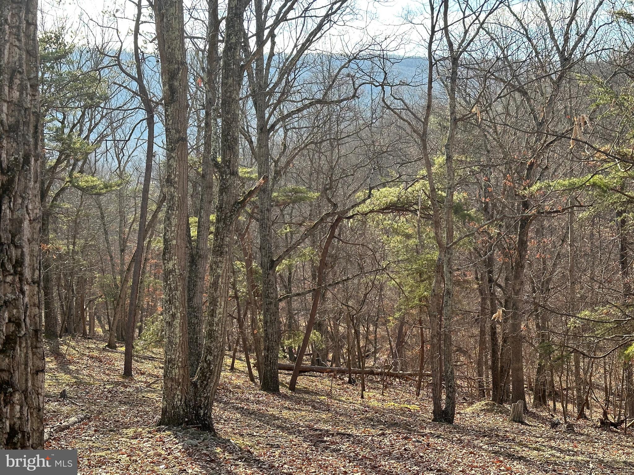 HAMILTON ESTATES - Land