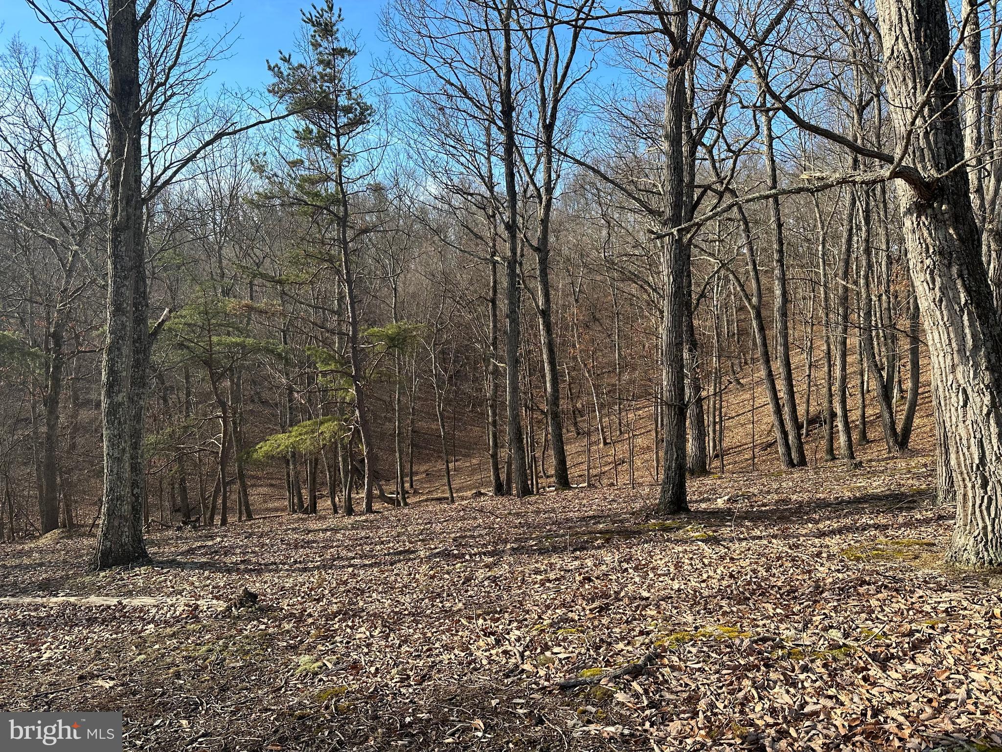 HAMILTON ESTATES - Land