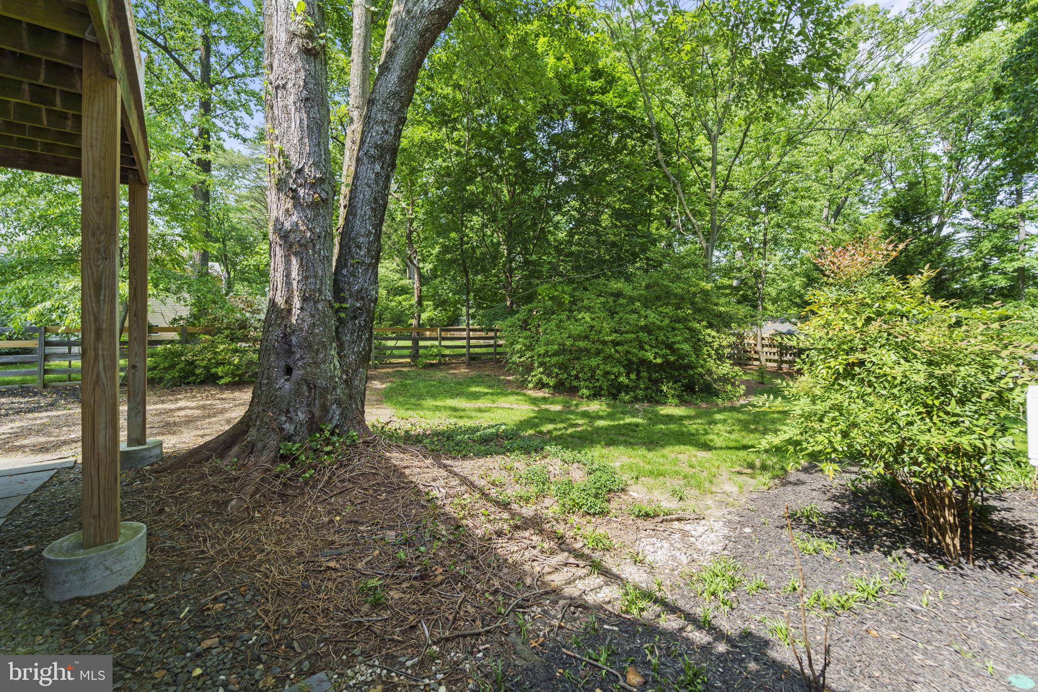 LINCOLNIA PARK - Residential