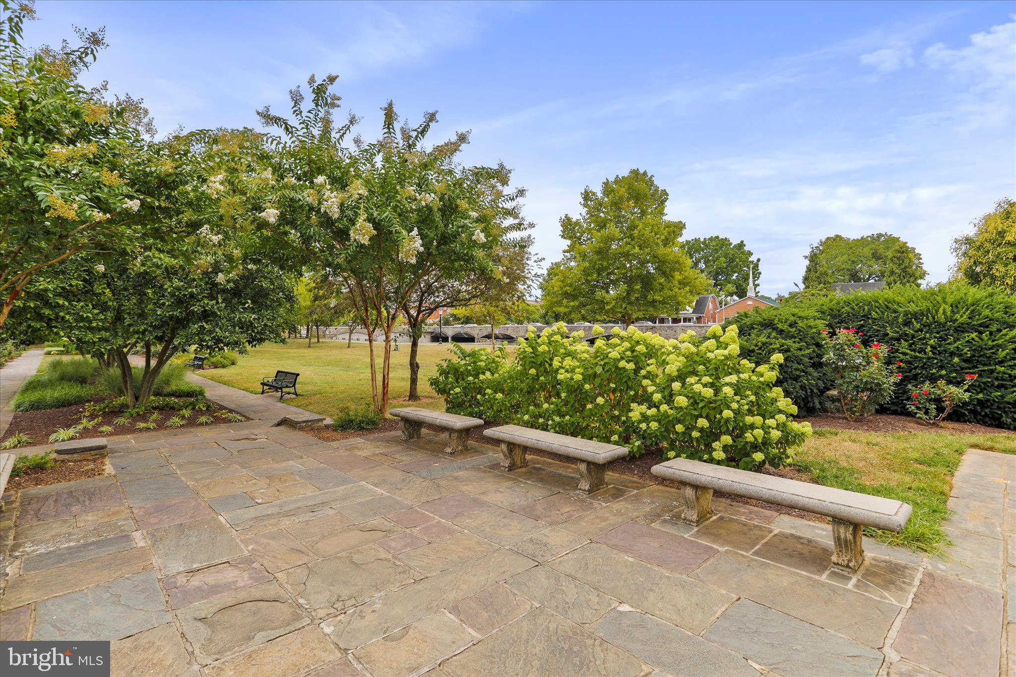 DOWNTOWN FREDERICK - Residential