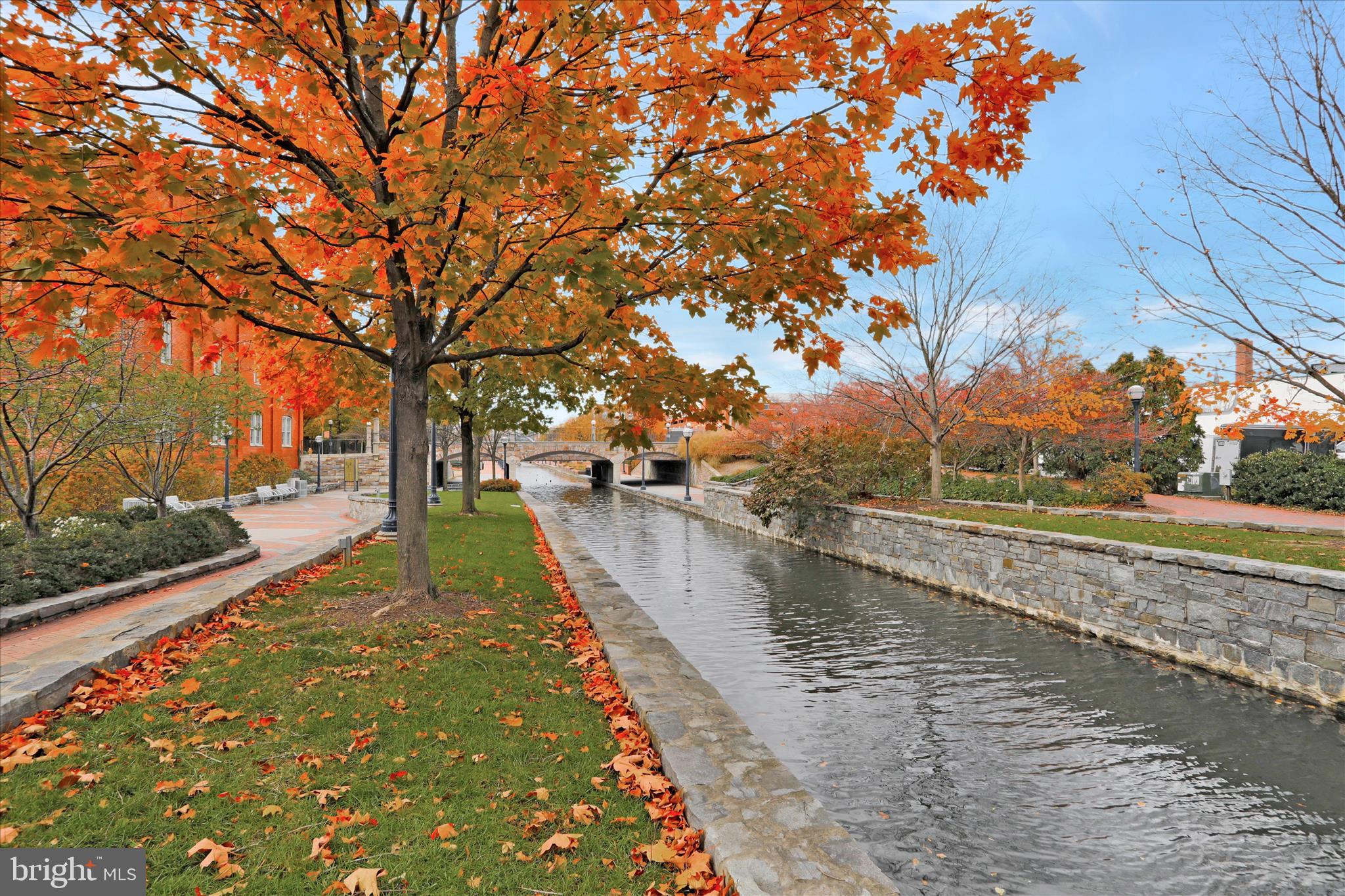 DOWNTOWN FREDERICK - Residential