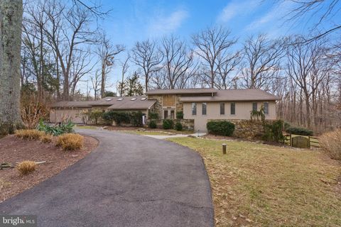 10124 CAPTAIN HICKORY PLACE GREAT FALLS VA 22066