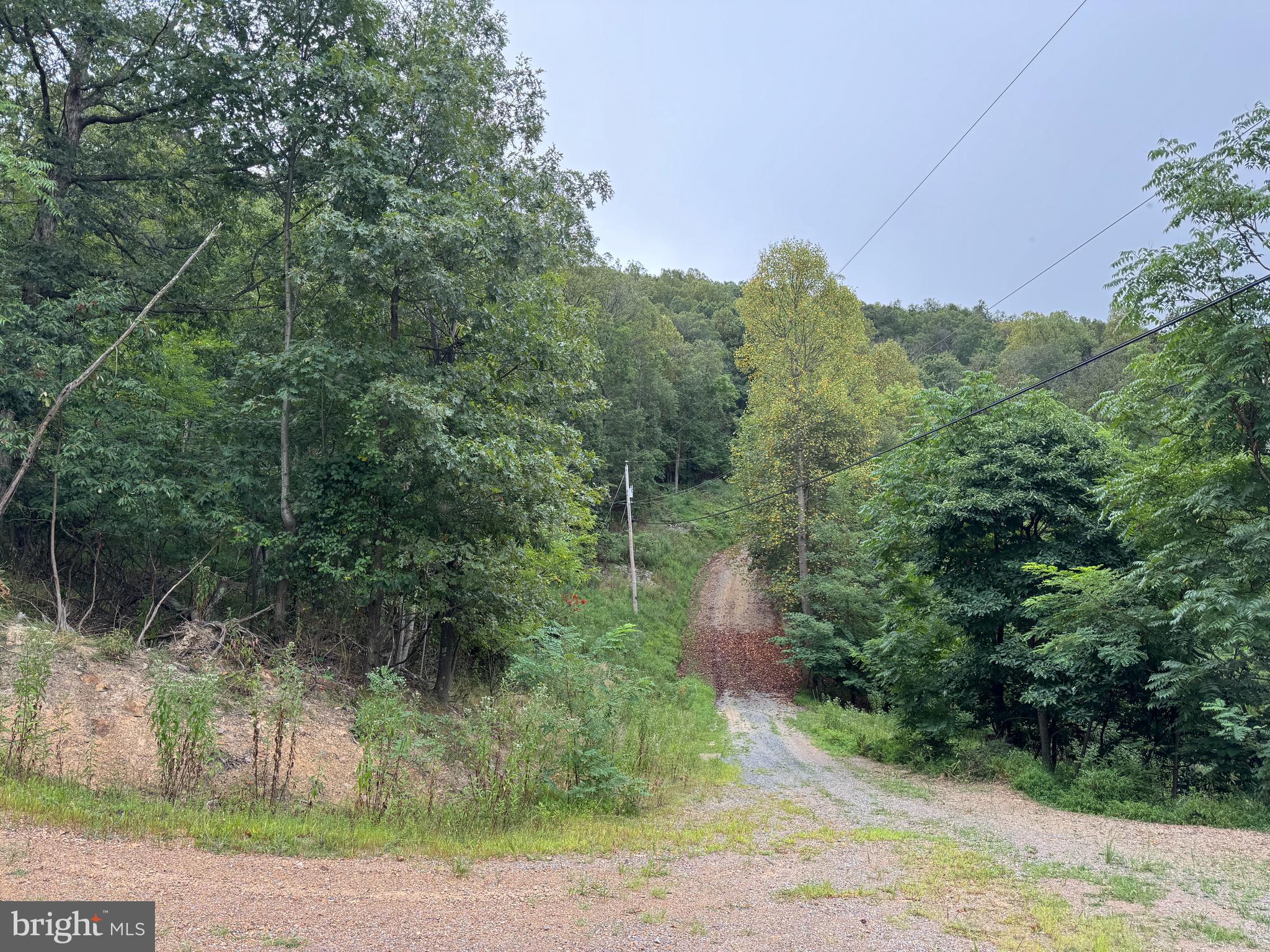 812 LONESOME PINE LANE