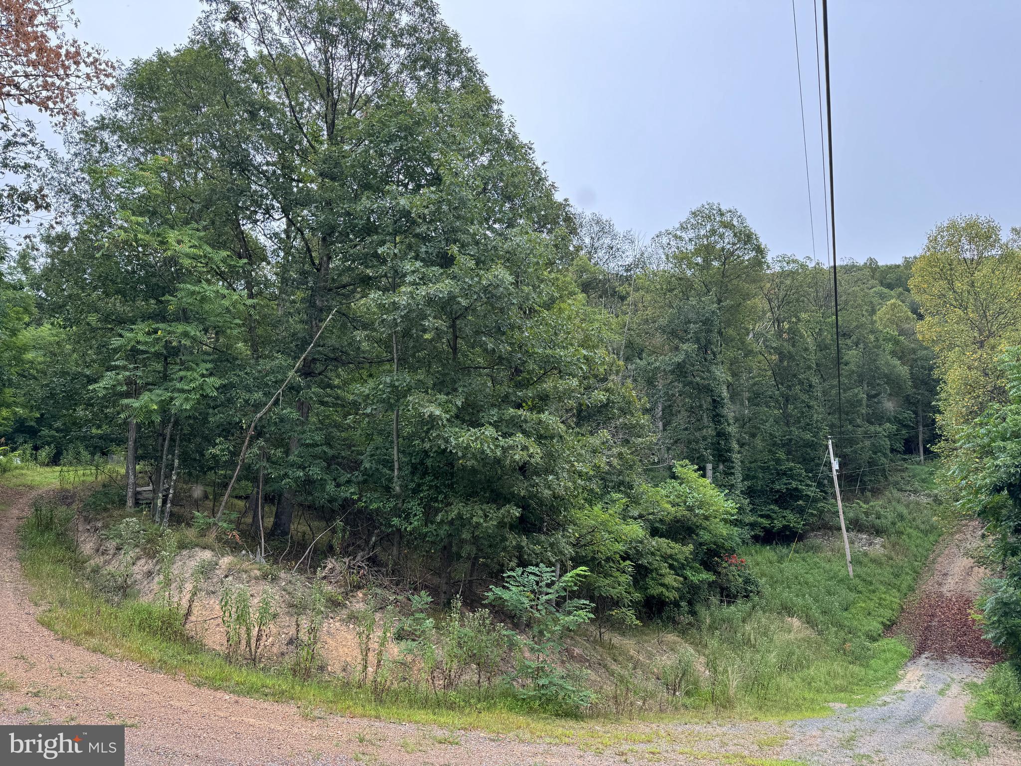 812 LONESOME PINE LANE