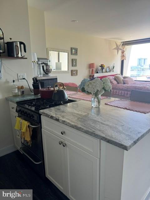 200 LOCUST STREET 6EN