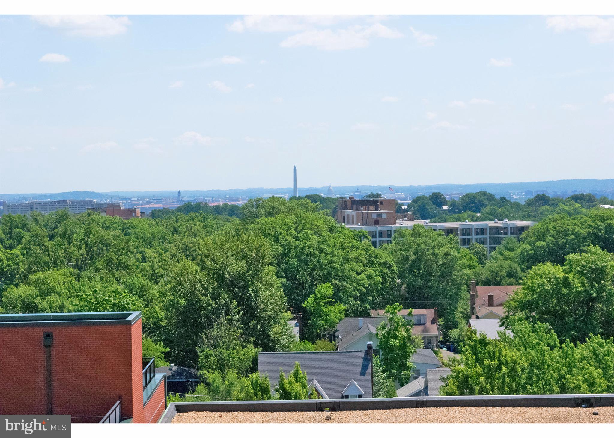 CLARENDON - Residential Lease