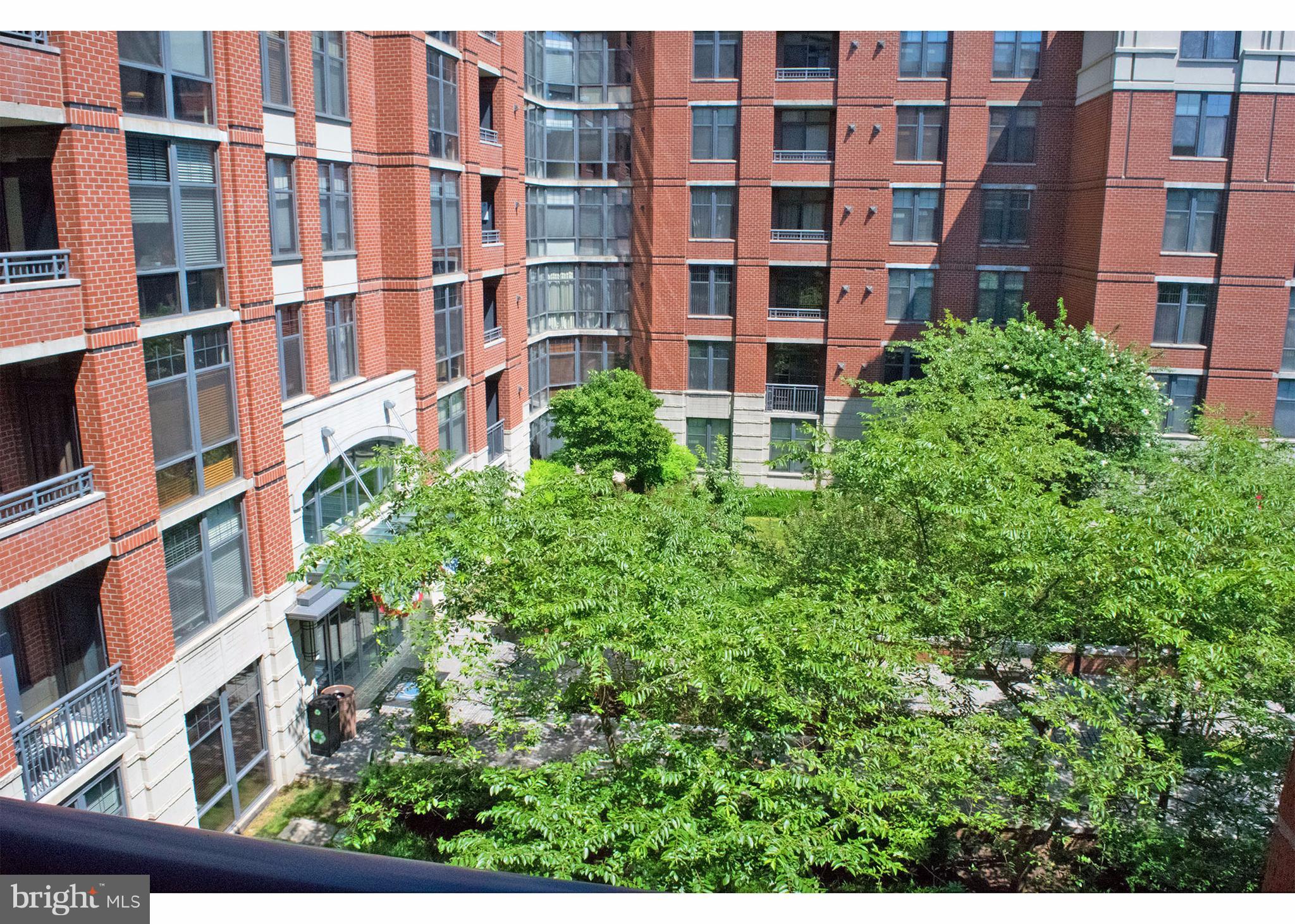 CLARENDON - Residential Lease