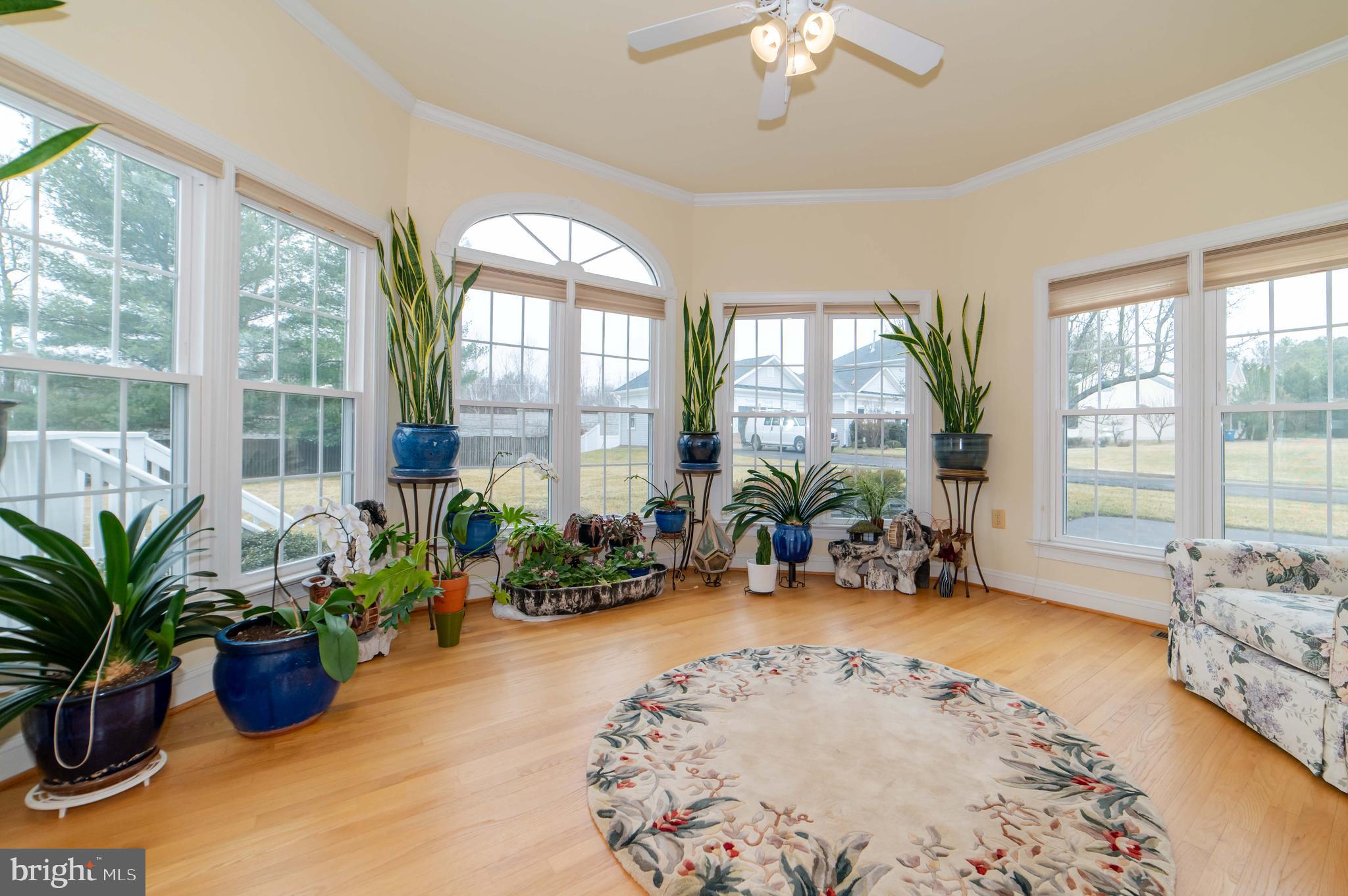 PINEY POND ESTATES - Residential