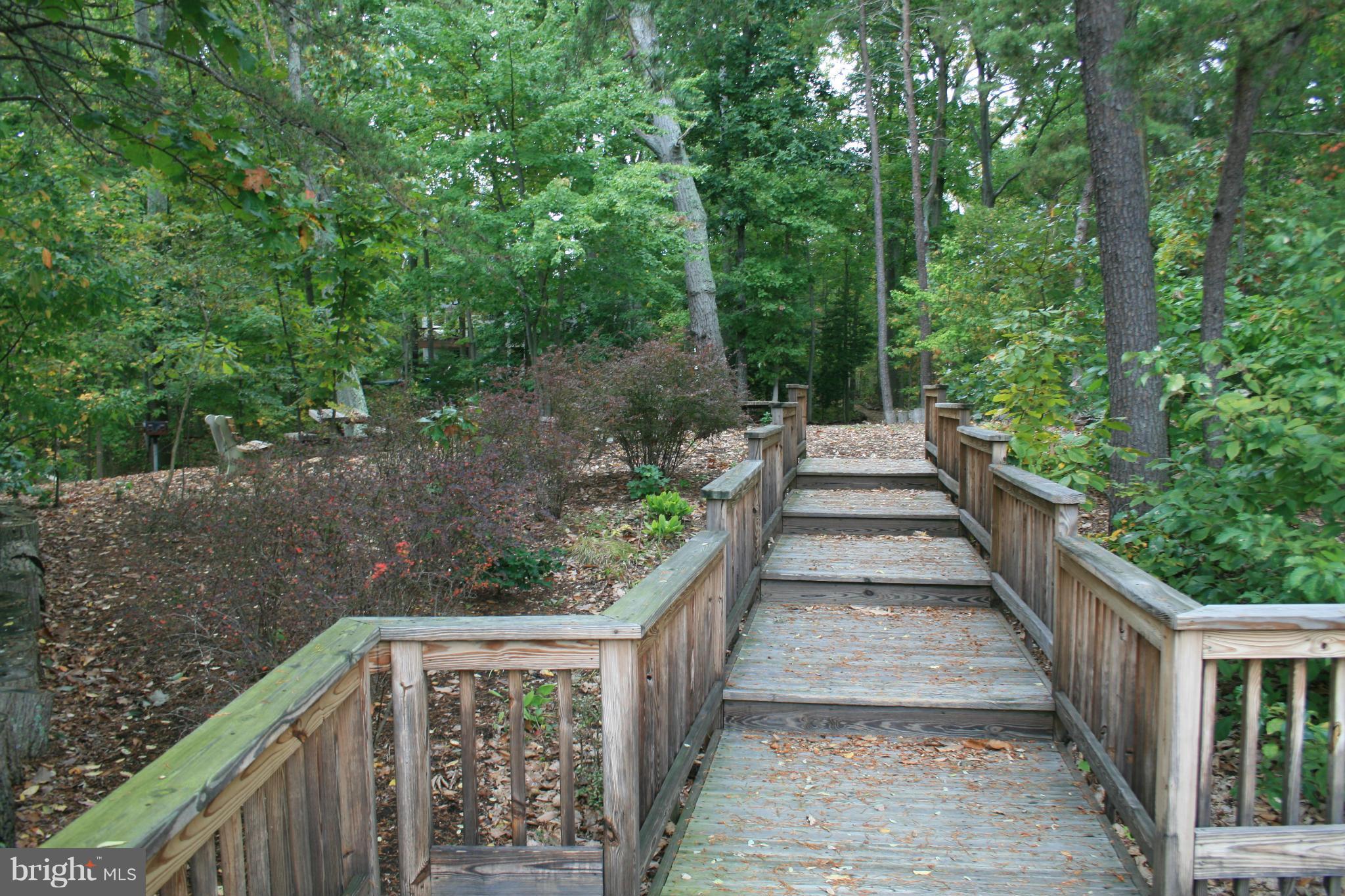 BLACKWALNUT COVE - Residential