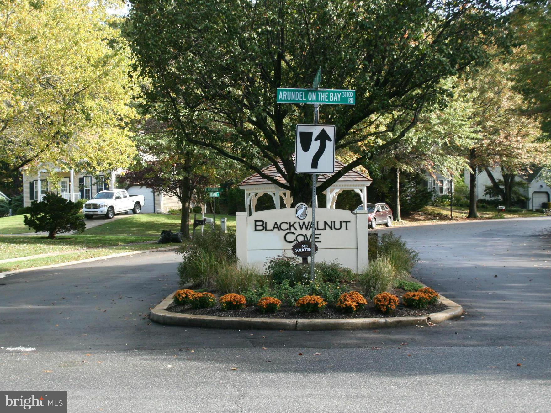 BLACKWALNUT COVE - Residential