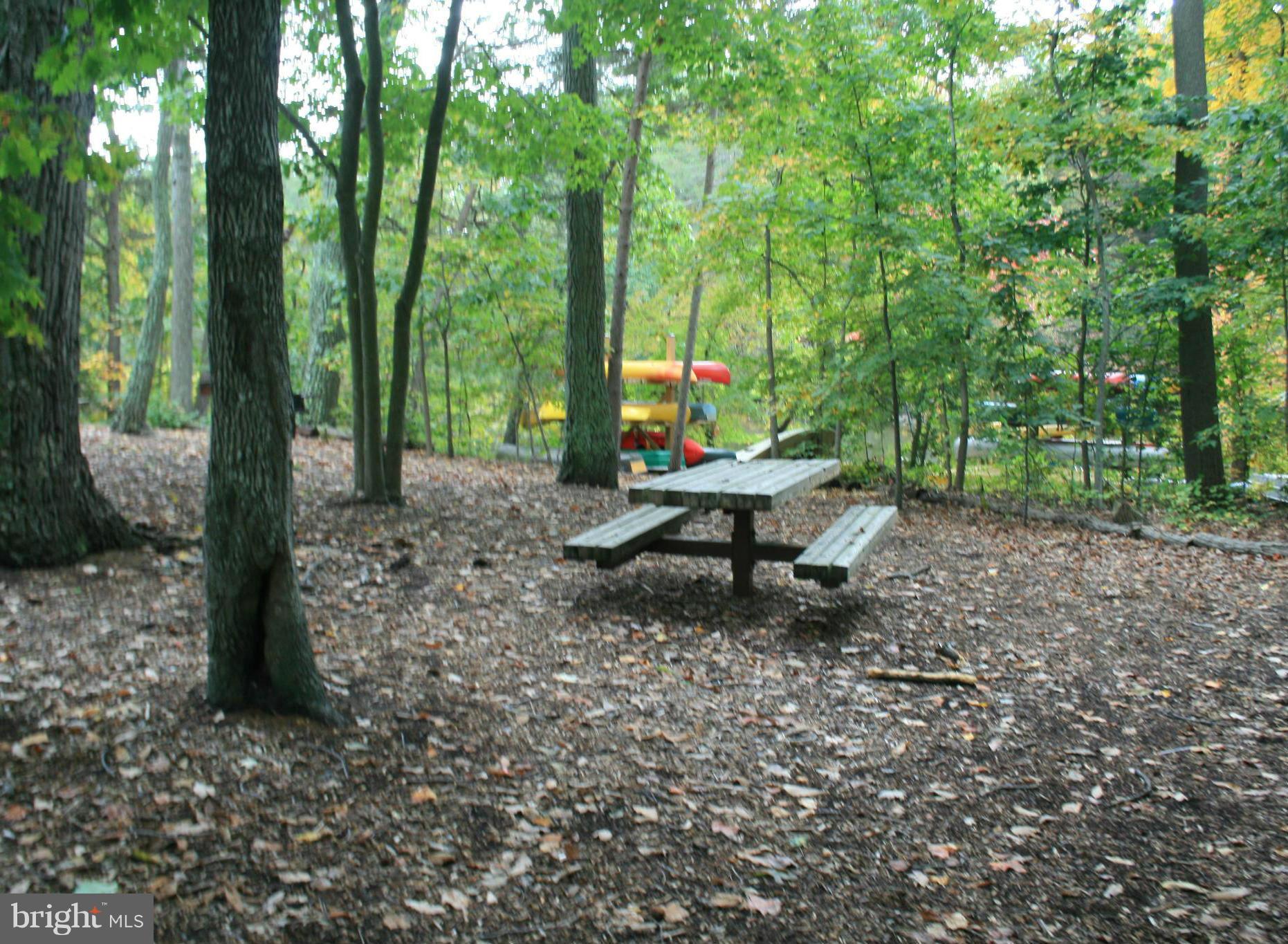 BLACKWALNUT COVE - Residential