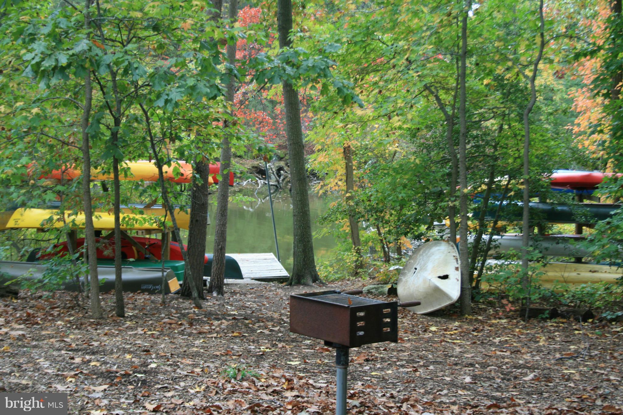 BLACKWALNUT COVE - Residential