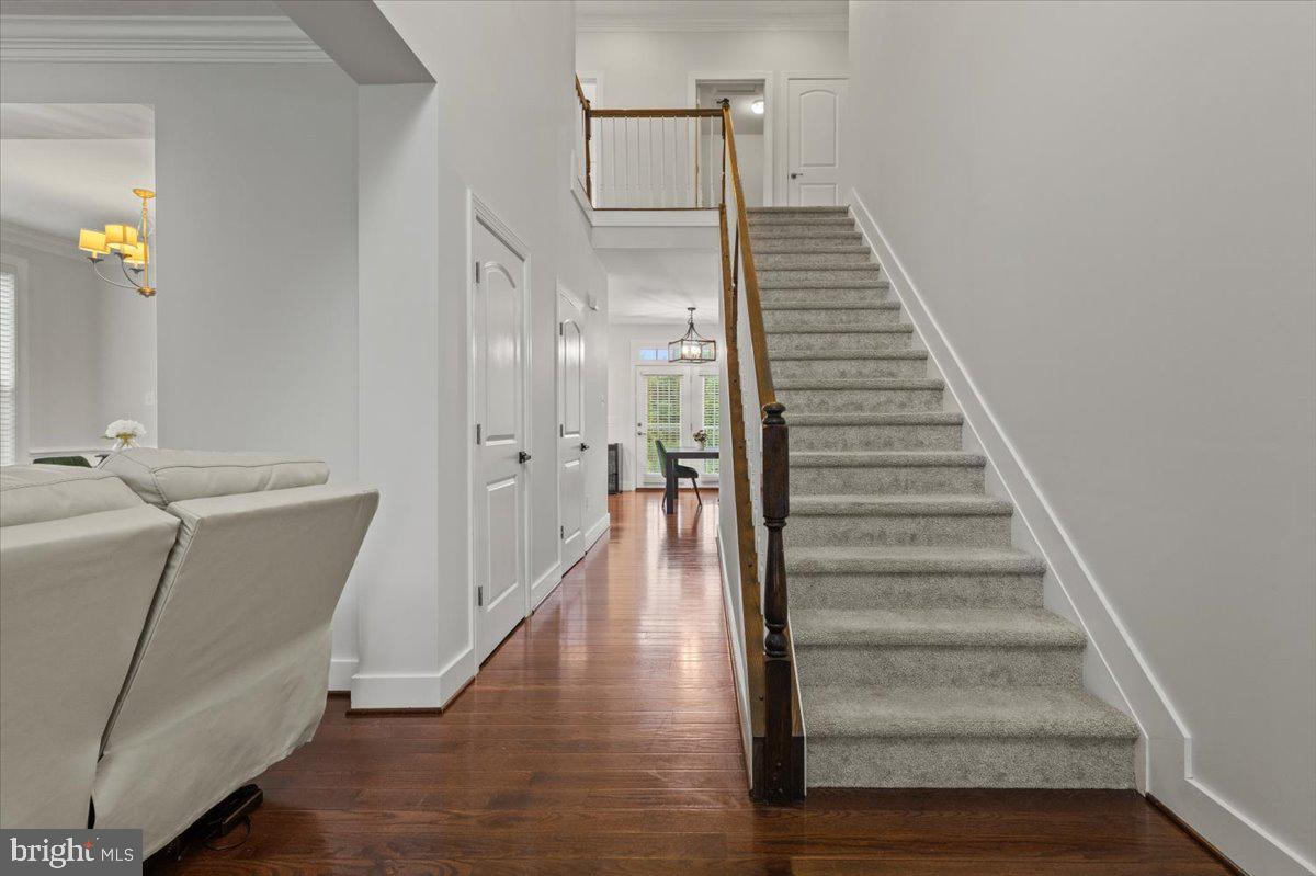 BALMORAL - Residential