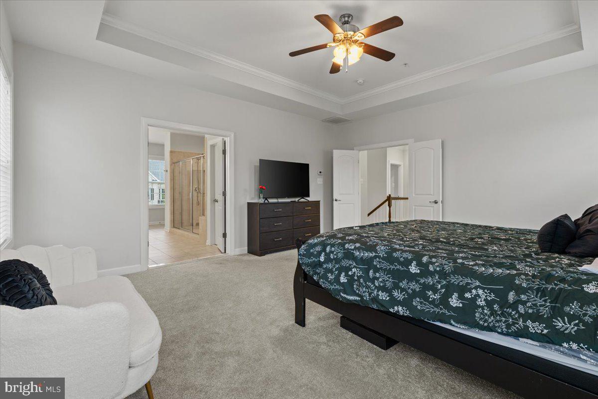 BALMORAL - Residential