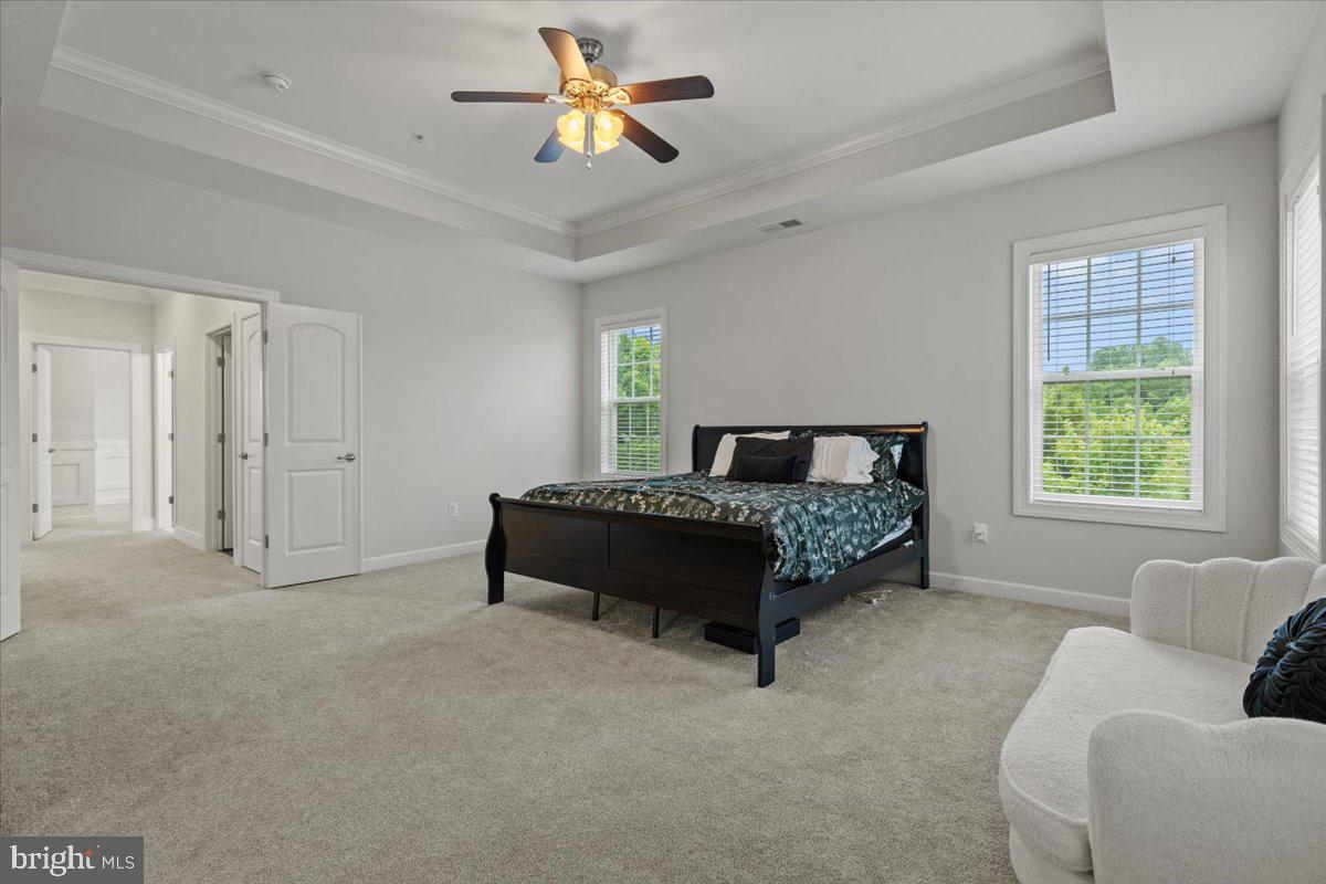 BALMORAL - Residential