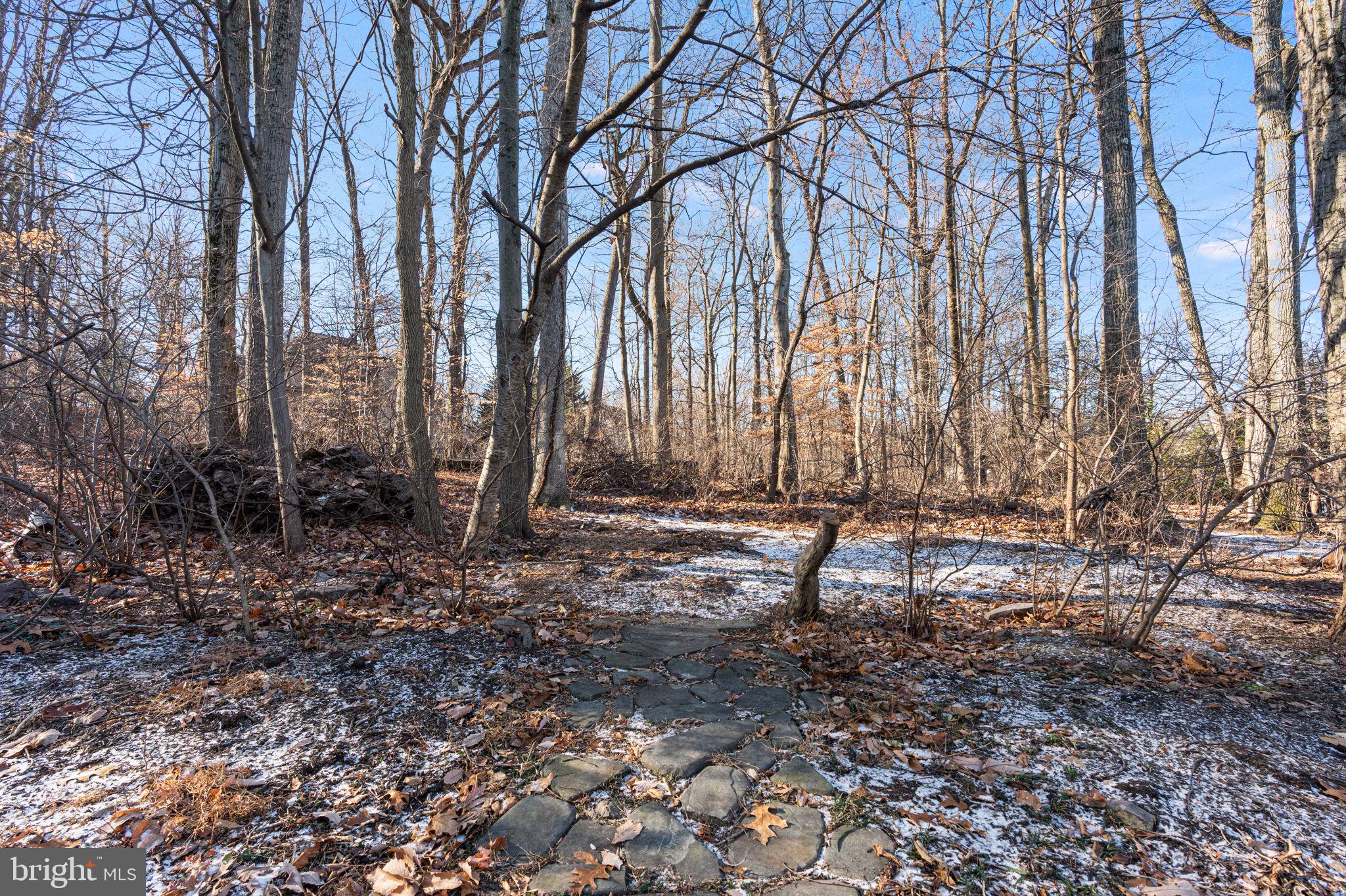 SHADY HILL ESTATES - Residential