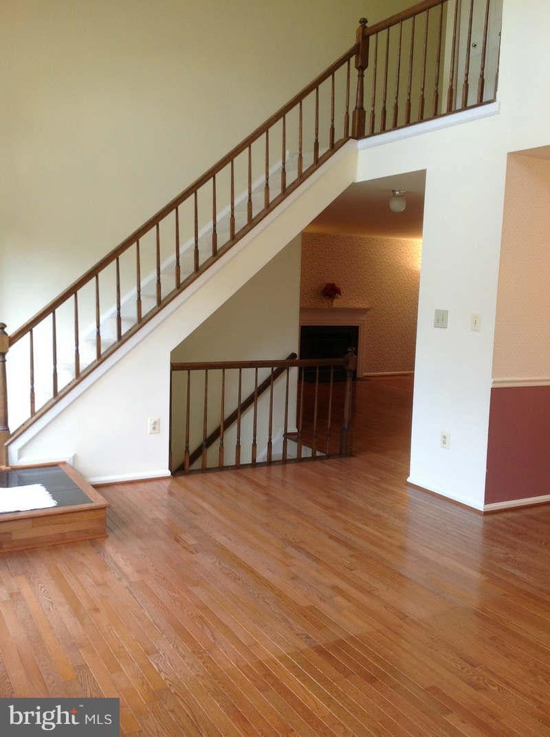 11624 BOOTJACK COURT