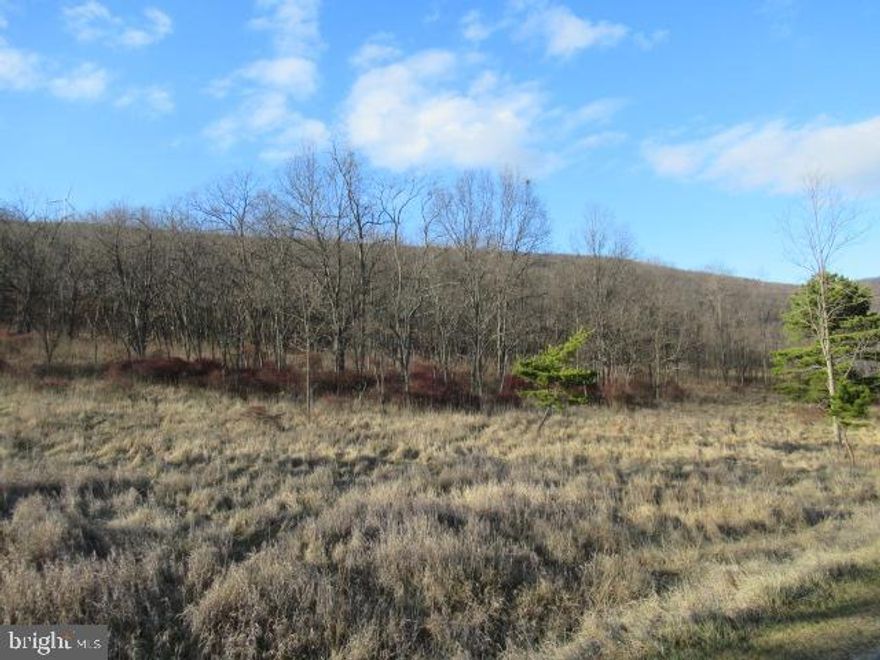4.12 AC BUILDING LOT IN THE HISTORICAL NANCY HANKS FARM SUBDIVISION! PLENTY OF SPACE TO BUILD YOUR DREAM WEEKEND GETAWAY OR FULL TIME RESIDENCE! ONLY 2.5 HRS TO D.C. AND PITTSBURGH! COME CHECK IT OUT!