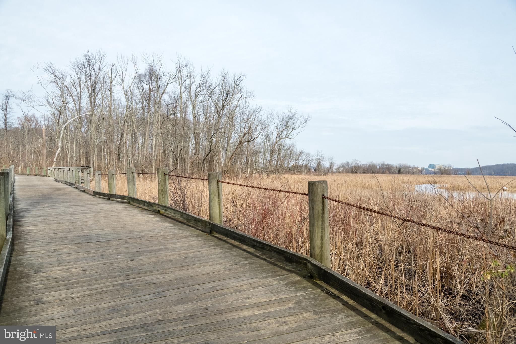 OLDE BELHAVEN TOWNE - Residential Lease