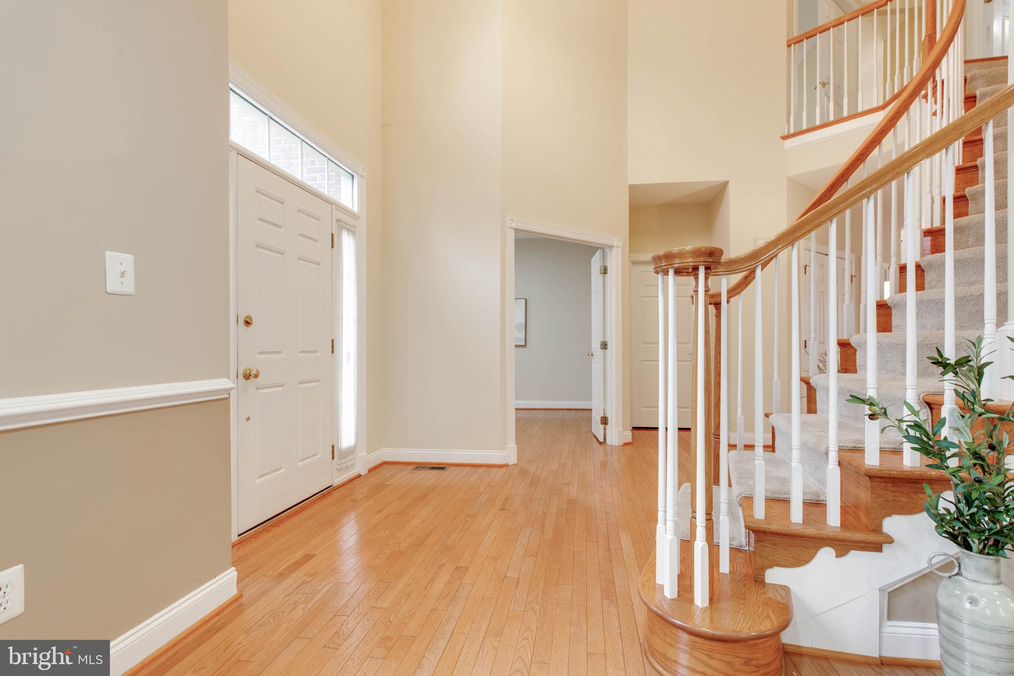 TRIADELPHIA WOODS - Residential