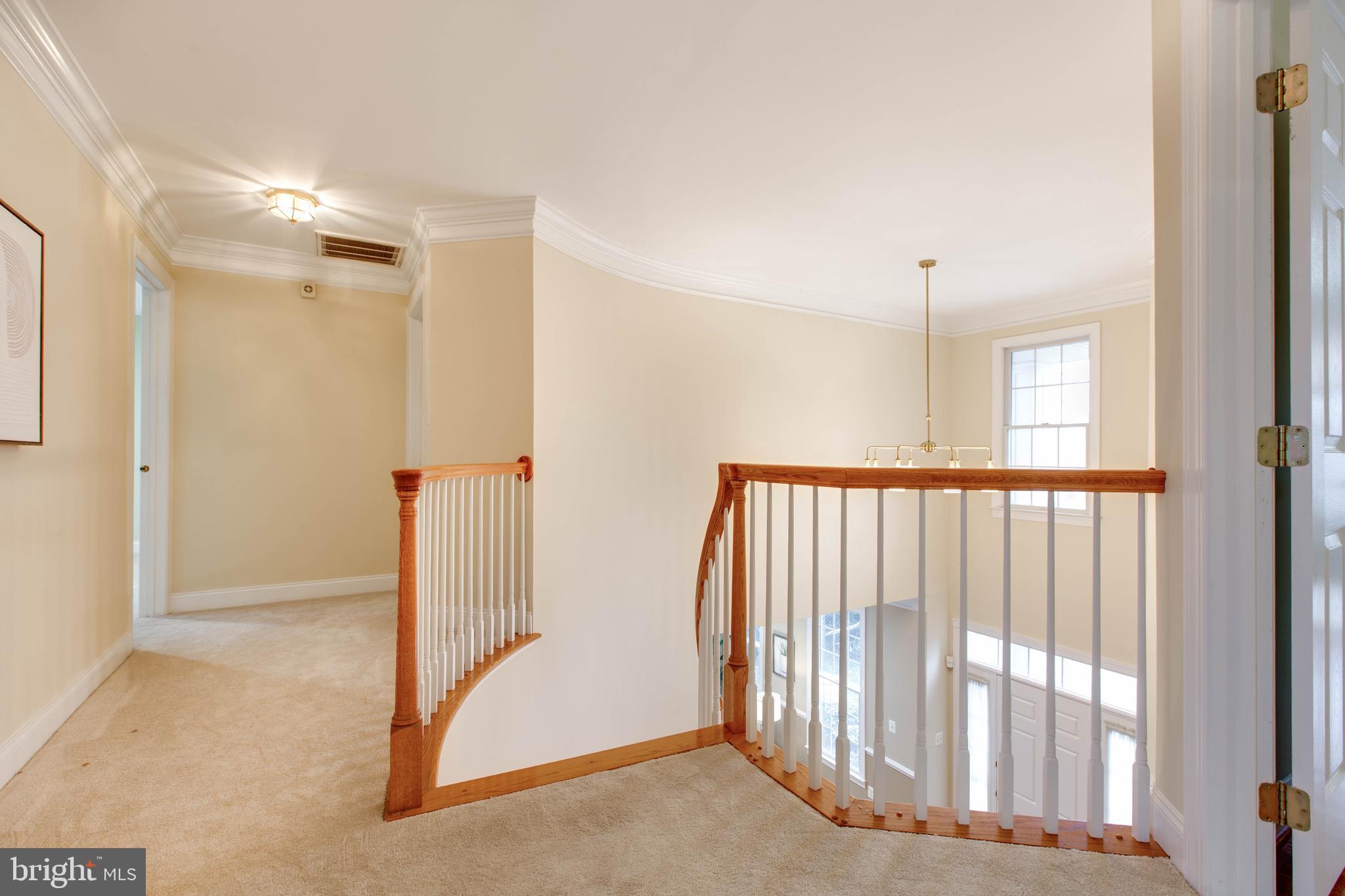 TRIADELPHIA WOODS - Residential